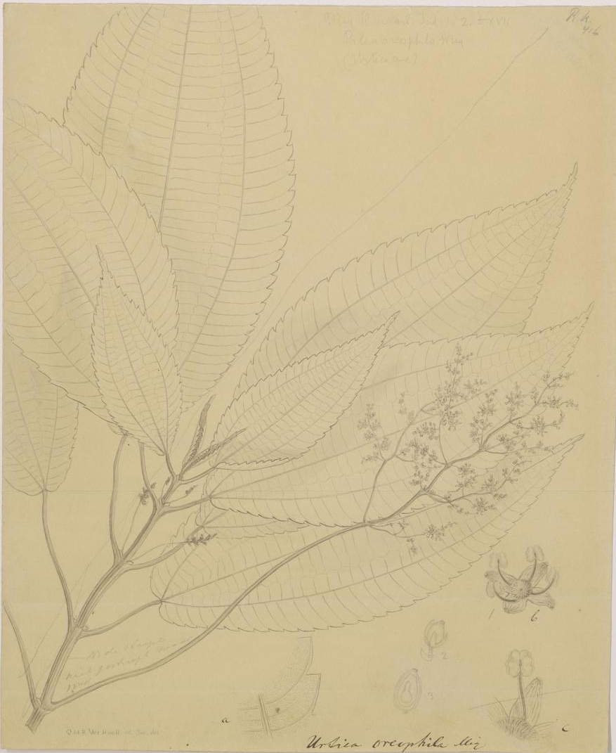 no full size  illustration available (3a)