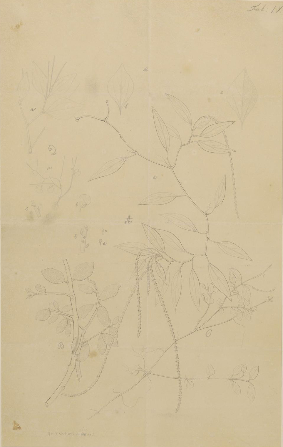 no full size  illustration available (3a)