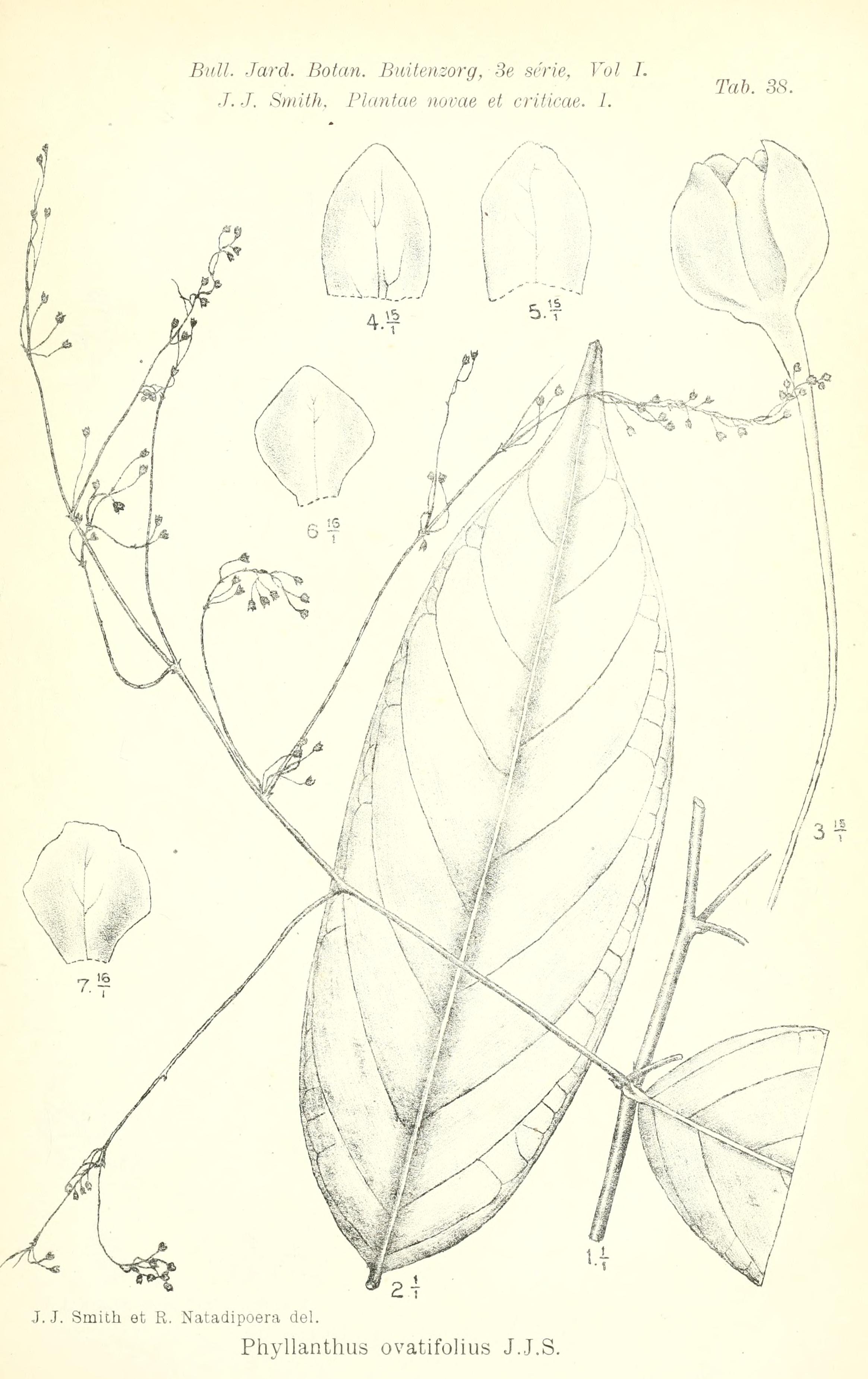 no full size  illustration available (3a)