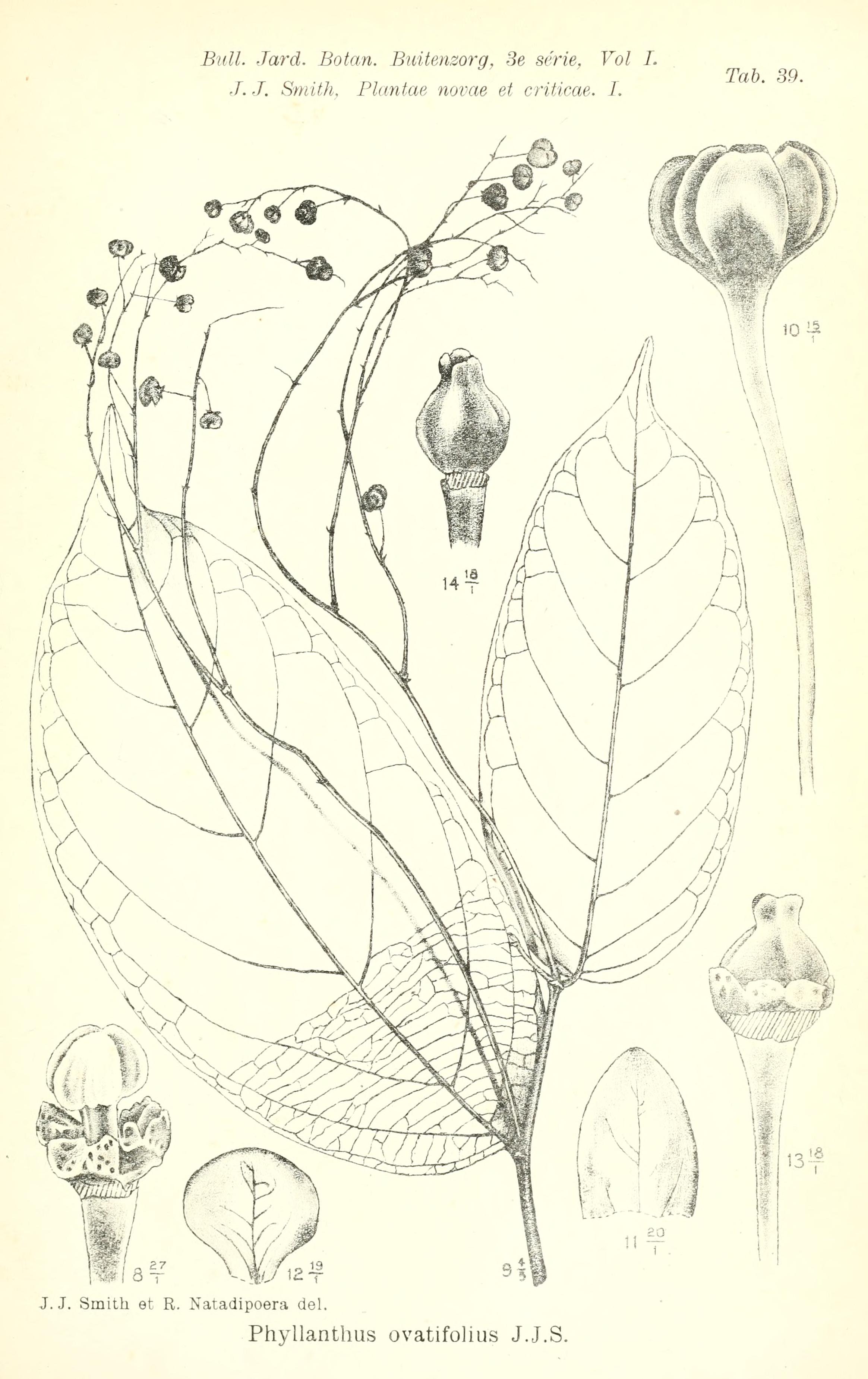 no full size  illustration available (3a)