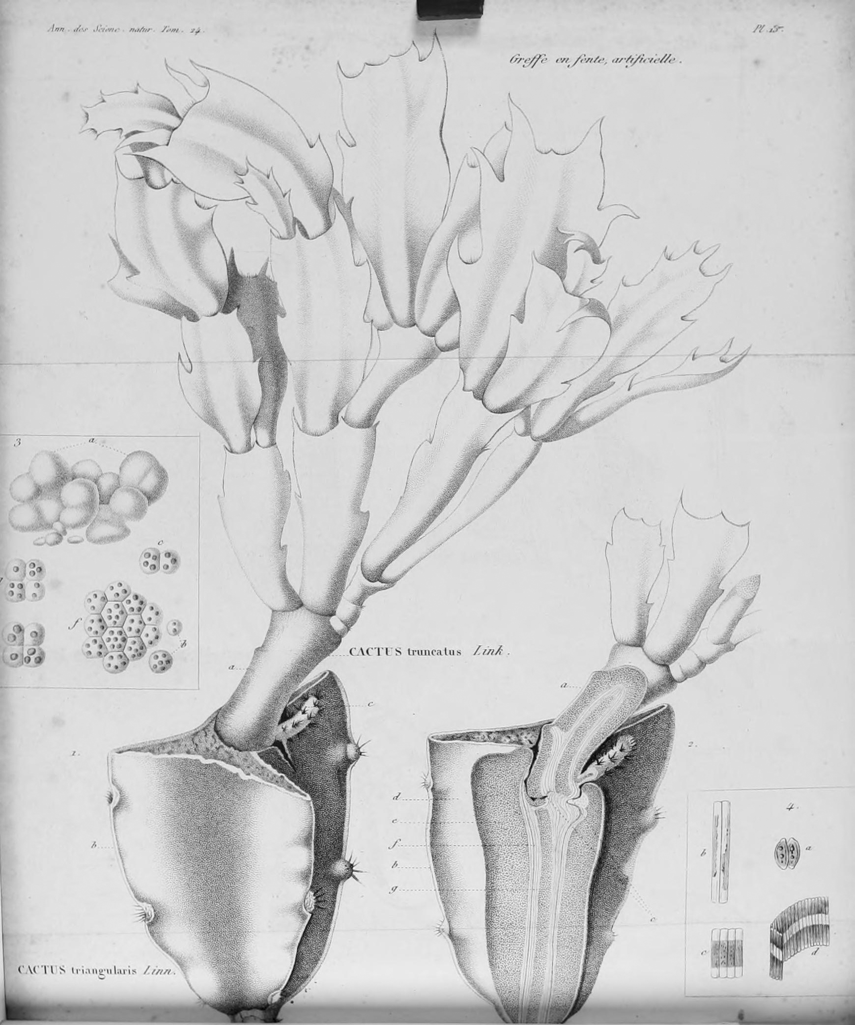 no full size  illustration available (3a)