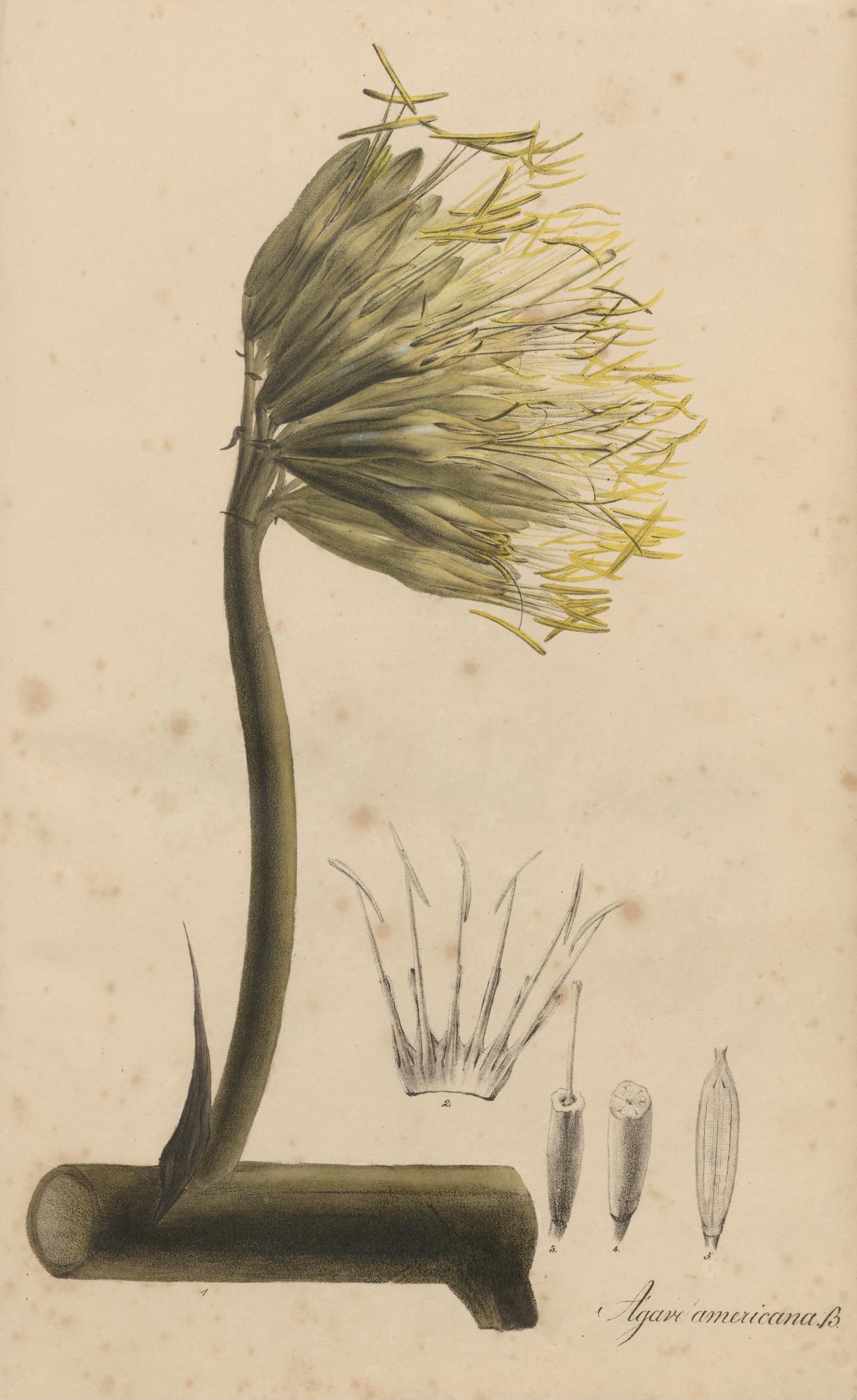 no full size  illustration available (3a)