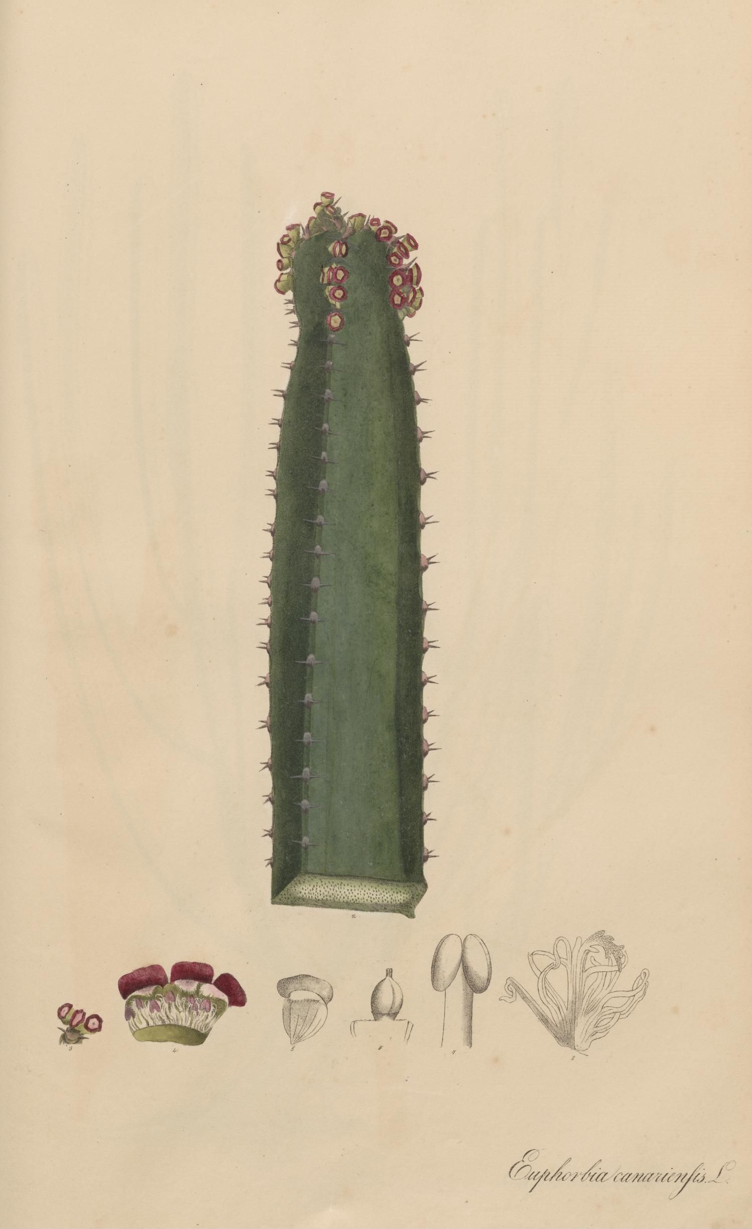 no full size  illustration available (3a)