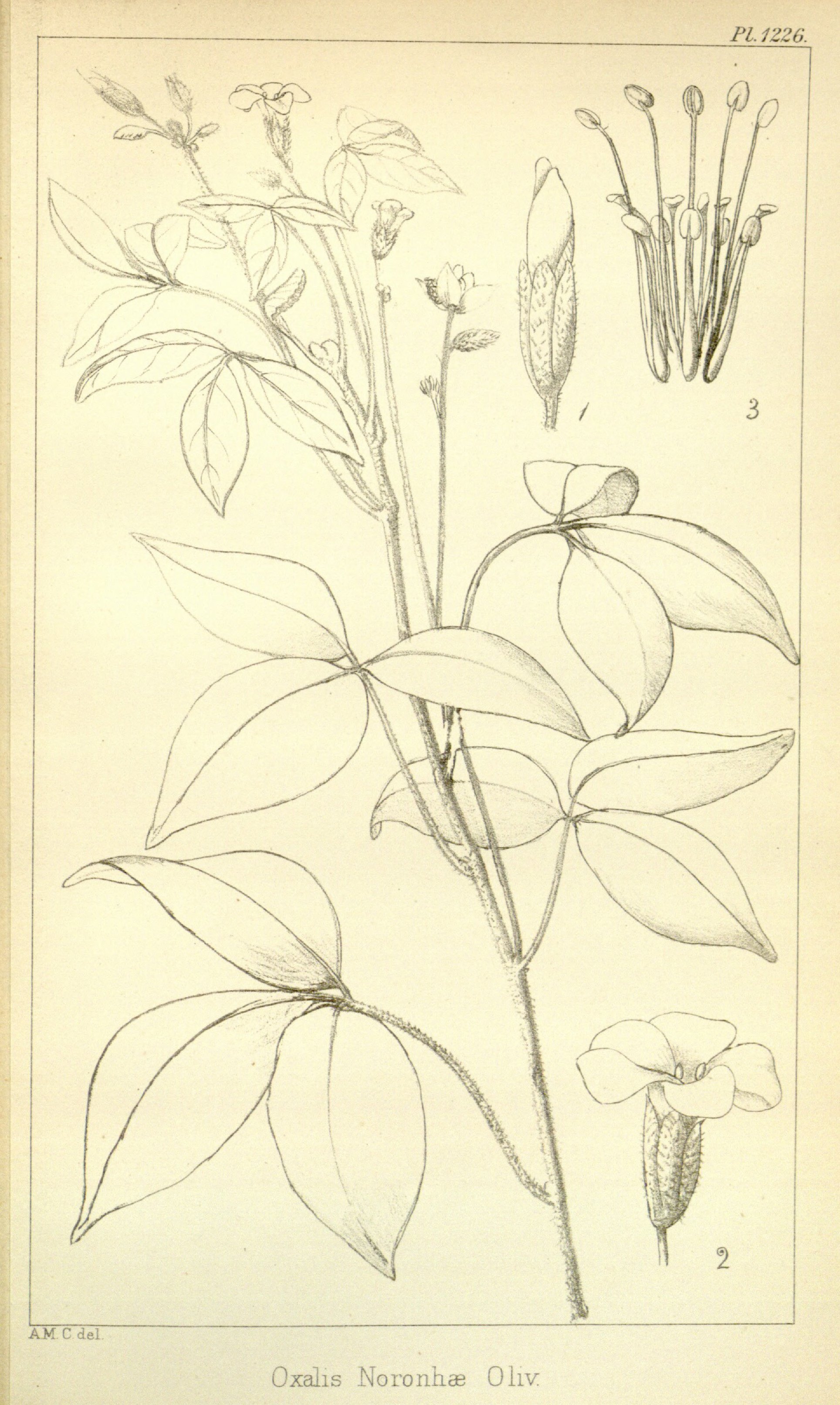 no full size  illustration available (3a)