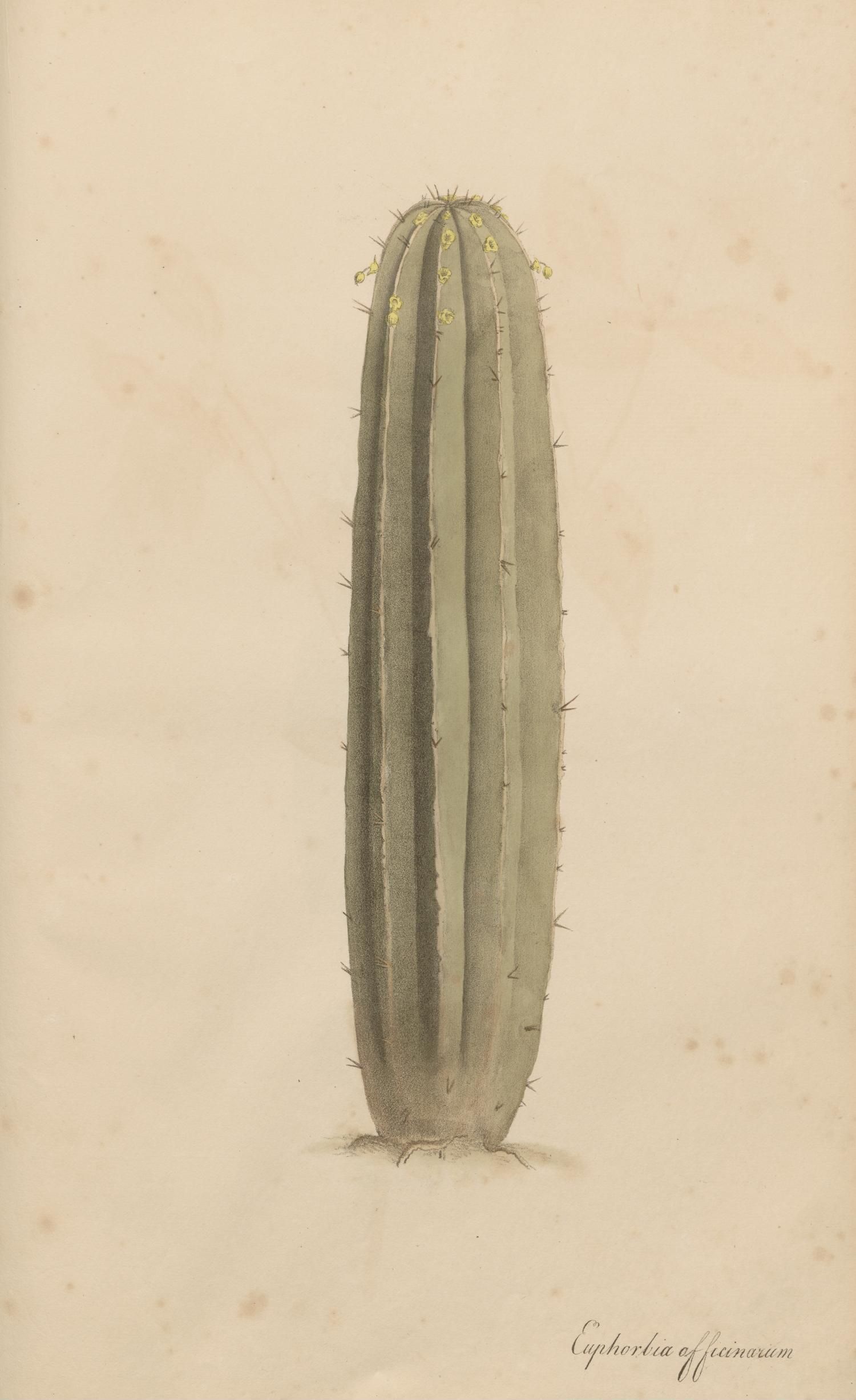 no full size  illustration available (3a)