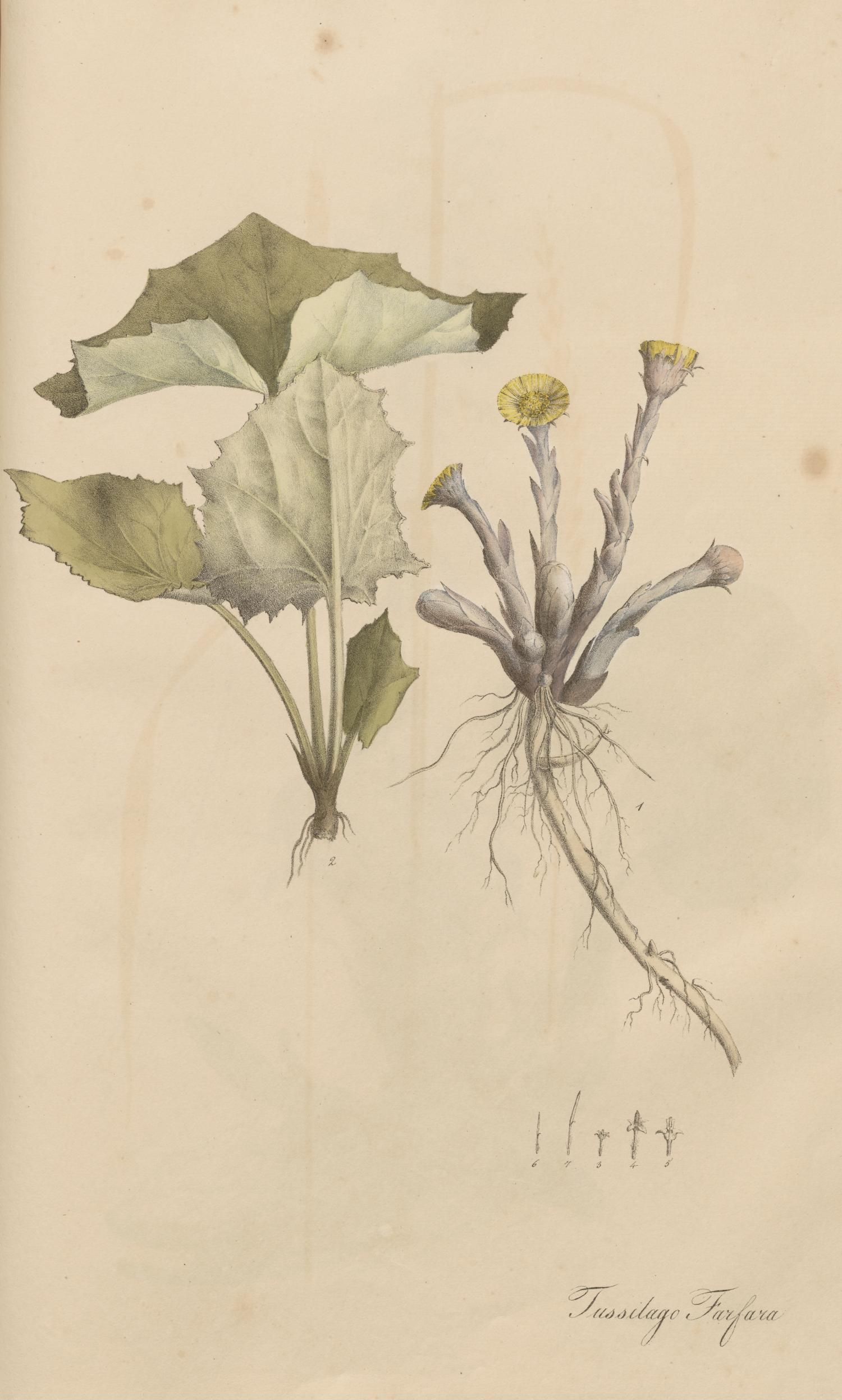 no full size  illustration available (3a)