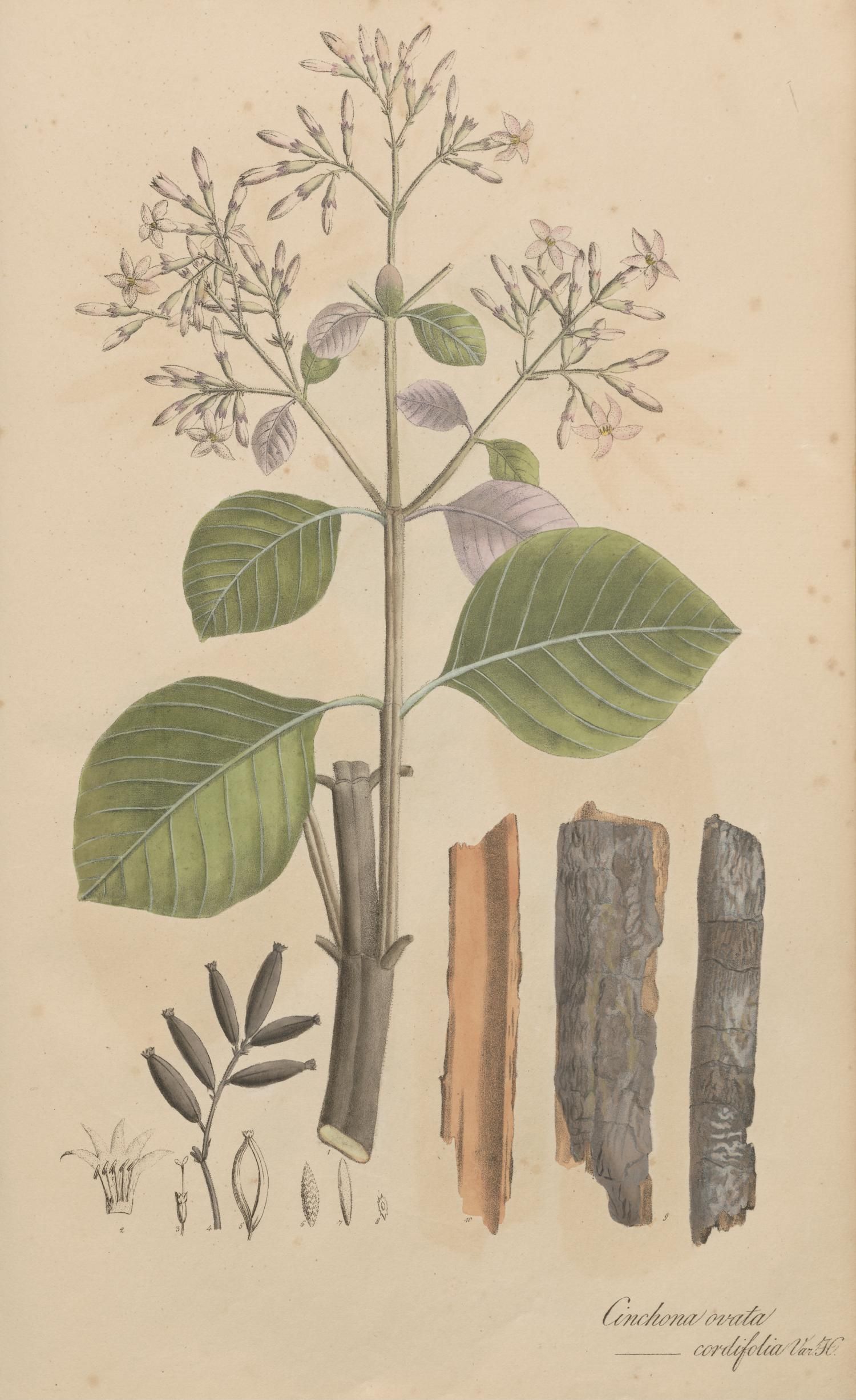 no full size  illustration available (3a)