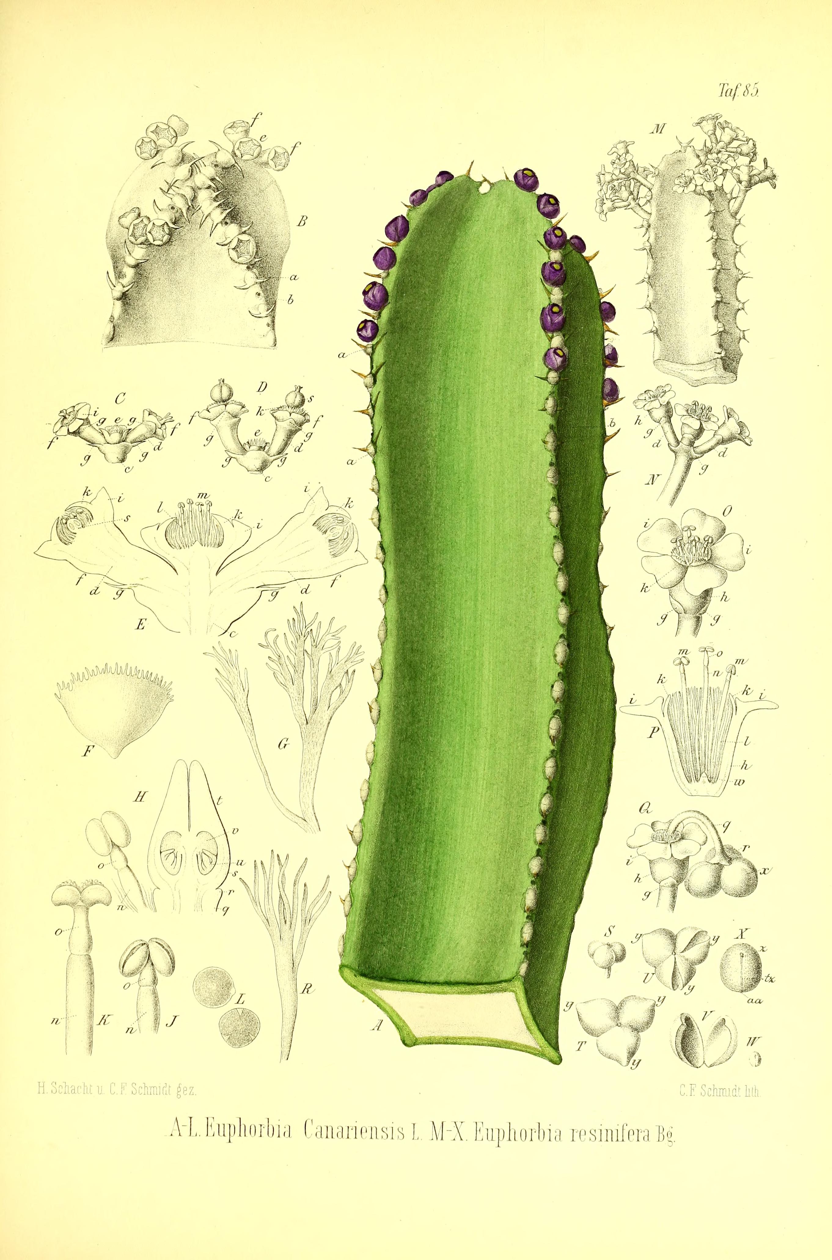 no full size  illustration available (3a)