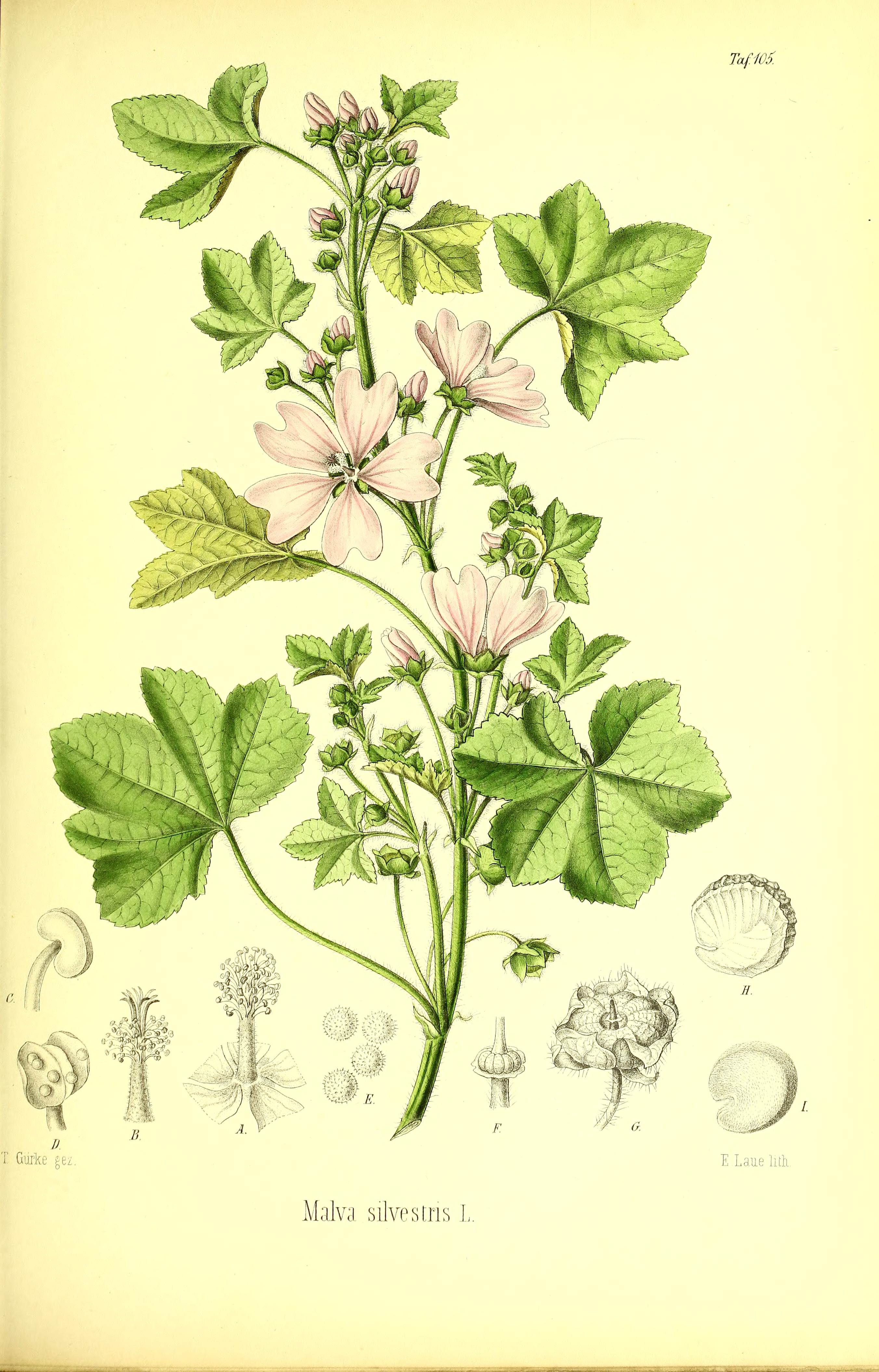 no full size  illustration available (3a)