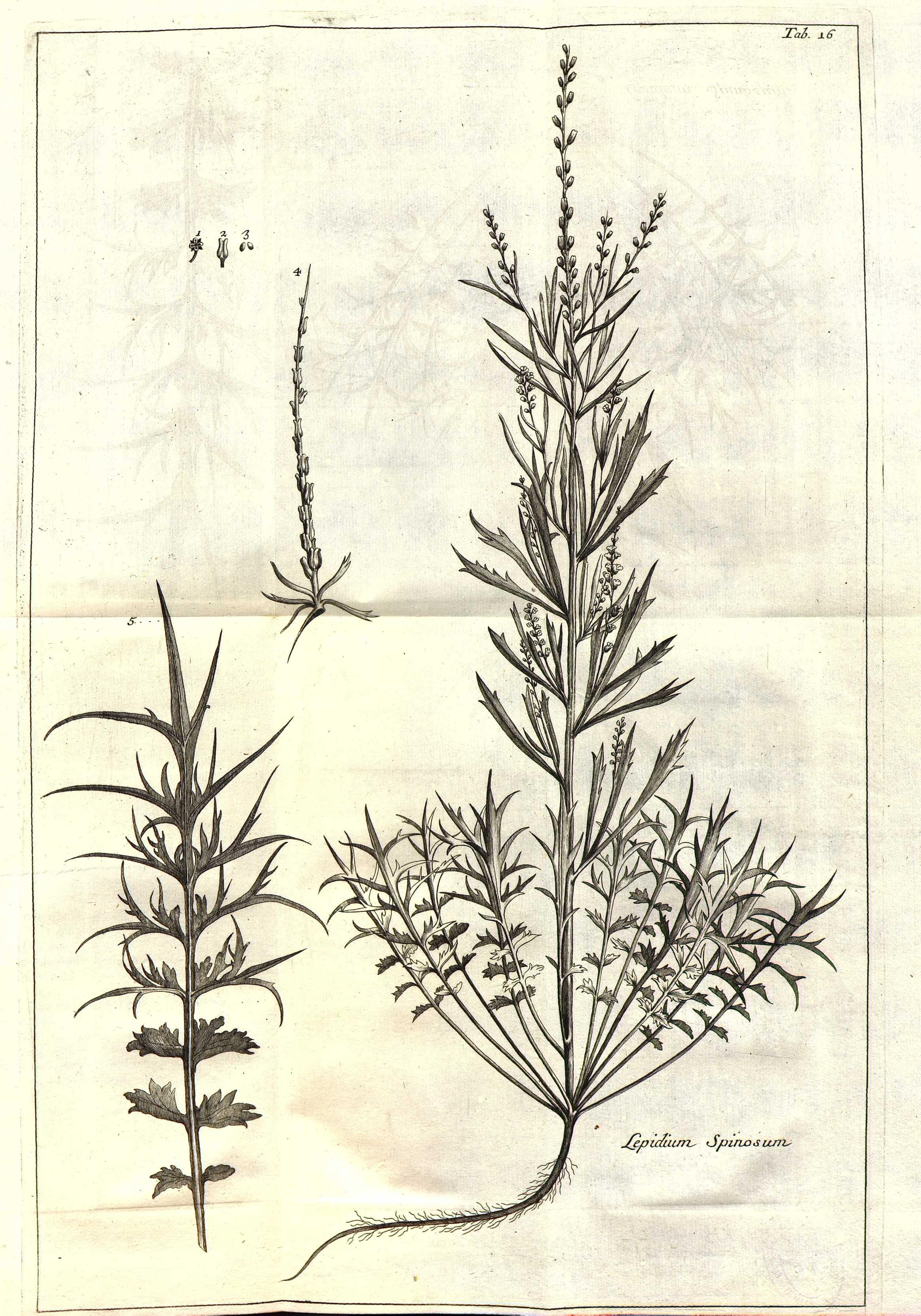 no full size  illustration available (3a)