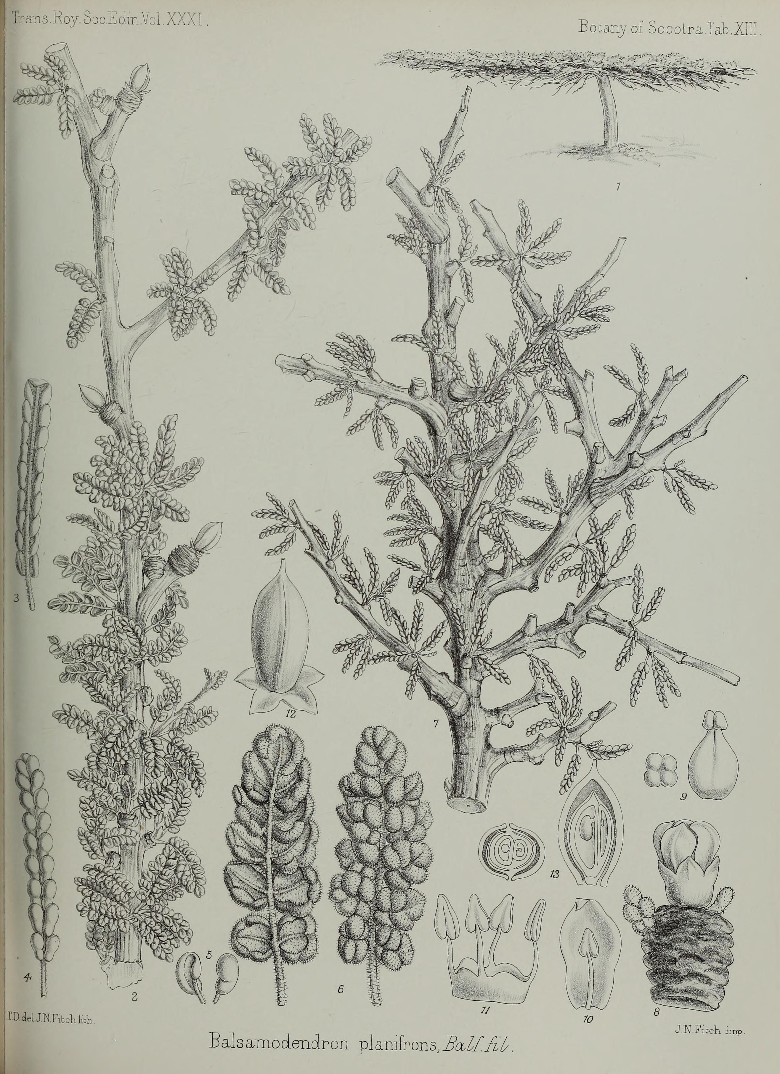 no full size  illustration available (3a)