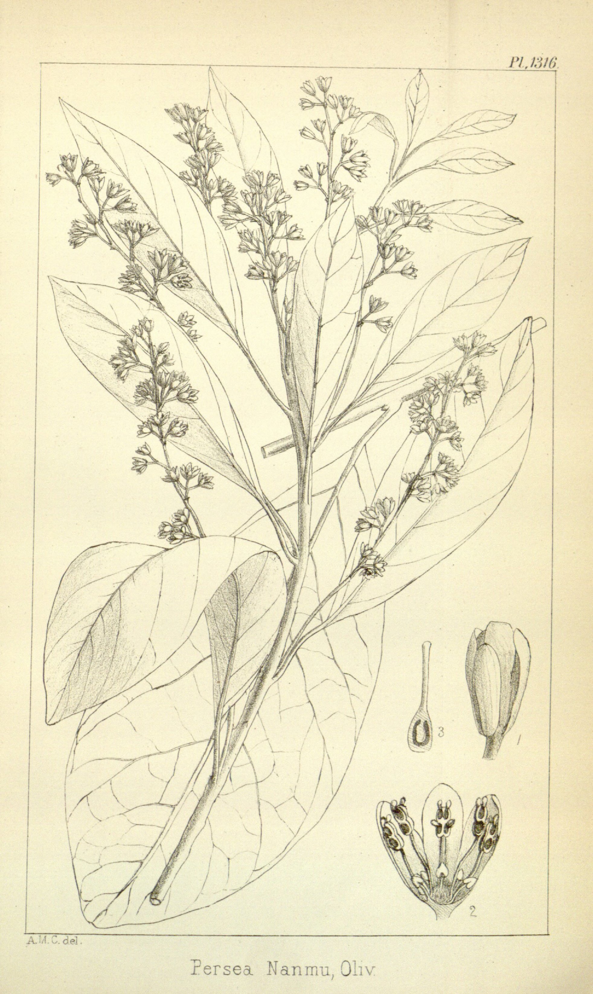 no full size  illustration available (3a)