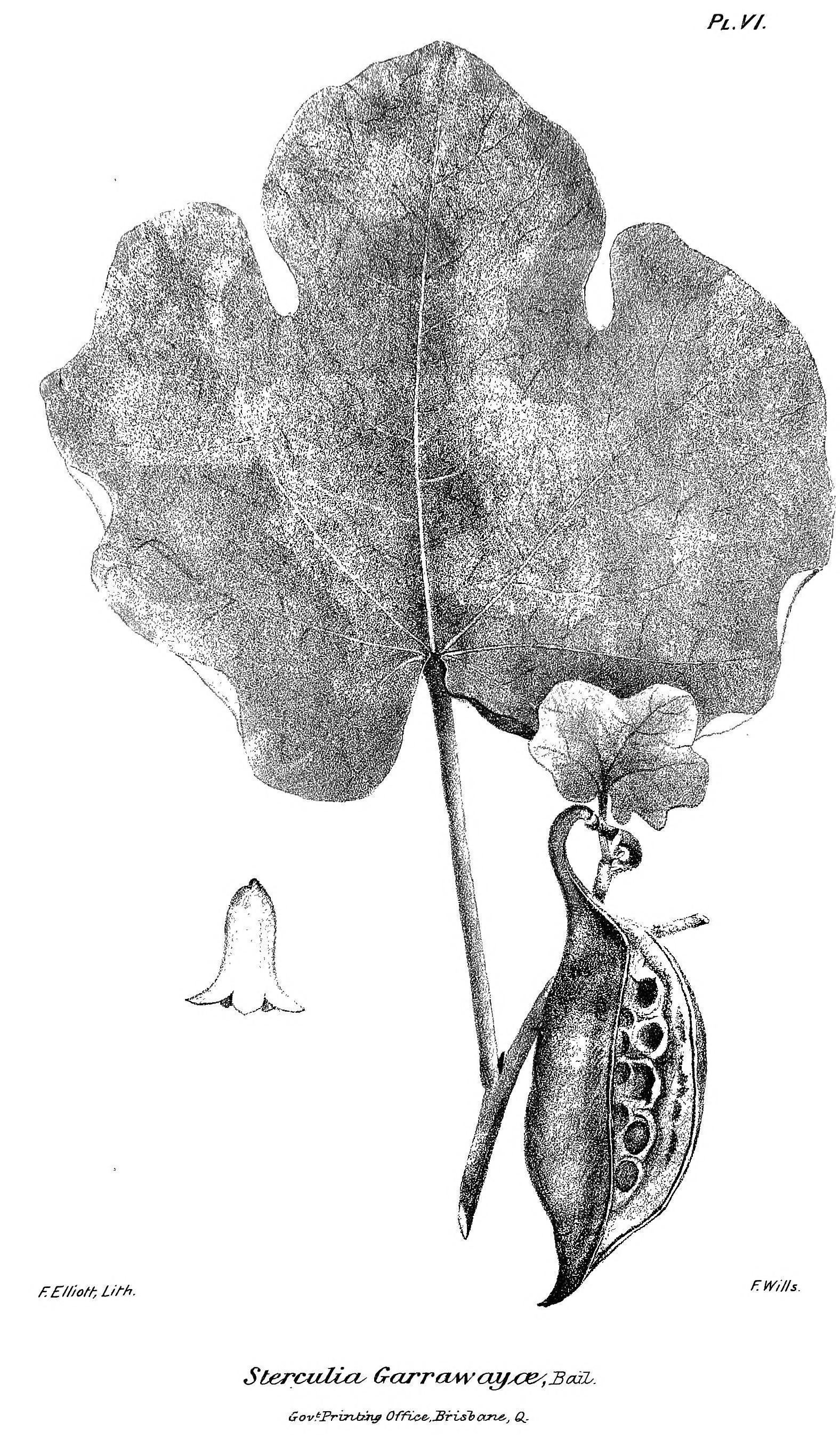 no full size  illustration available (3a)