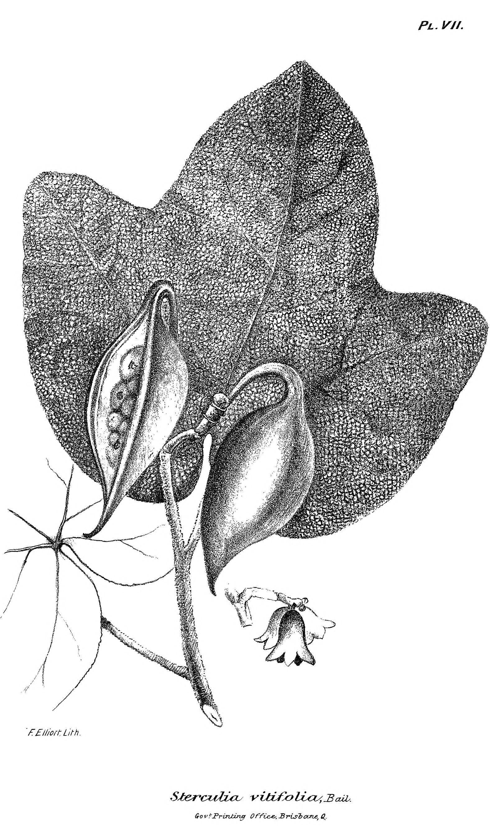 no full size  illustration available (3a)