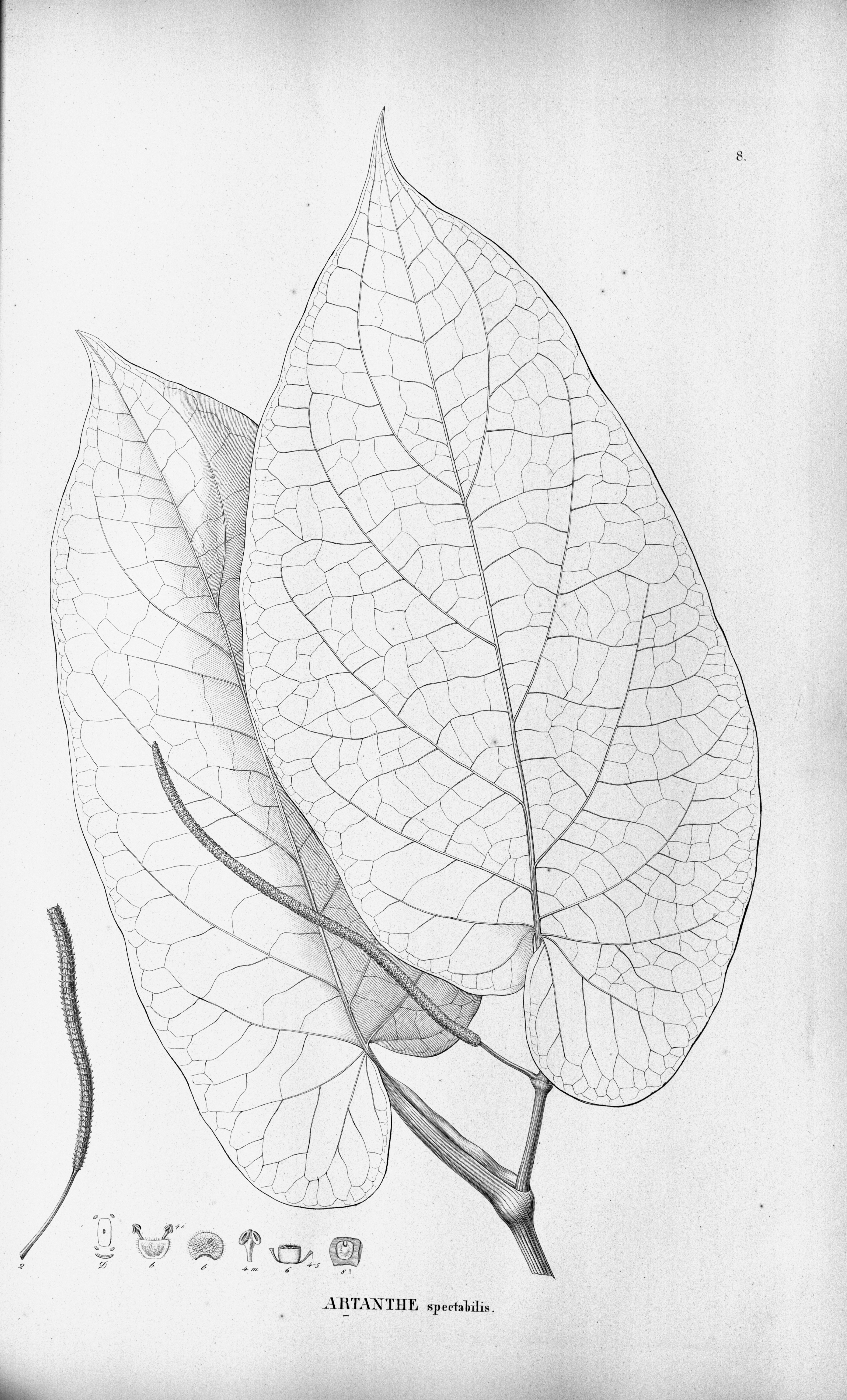 no full size  illustration available (3a)