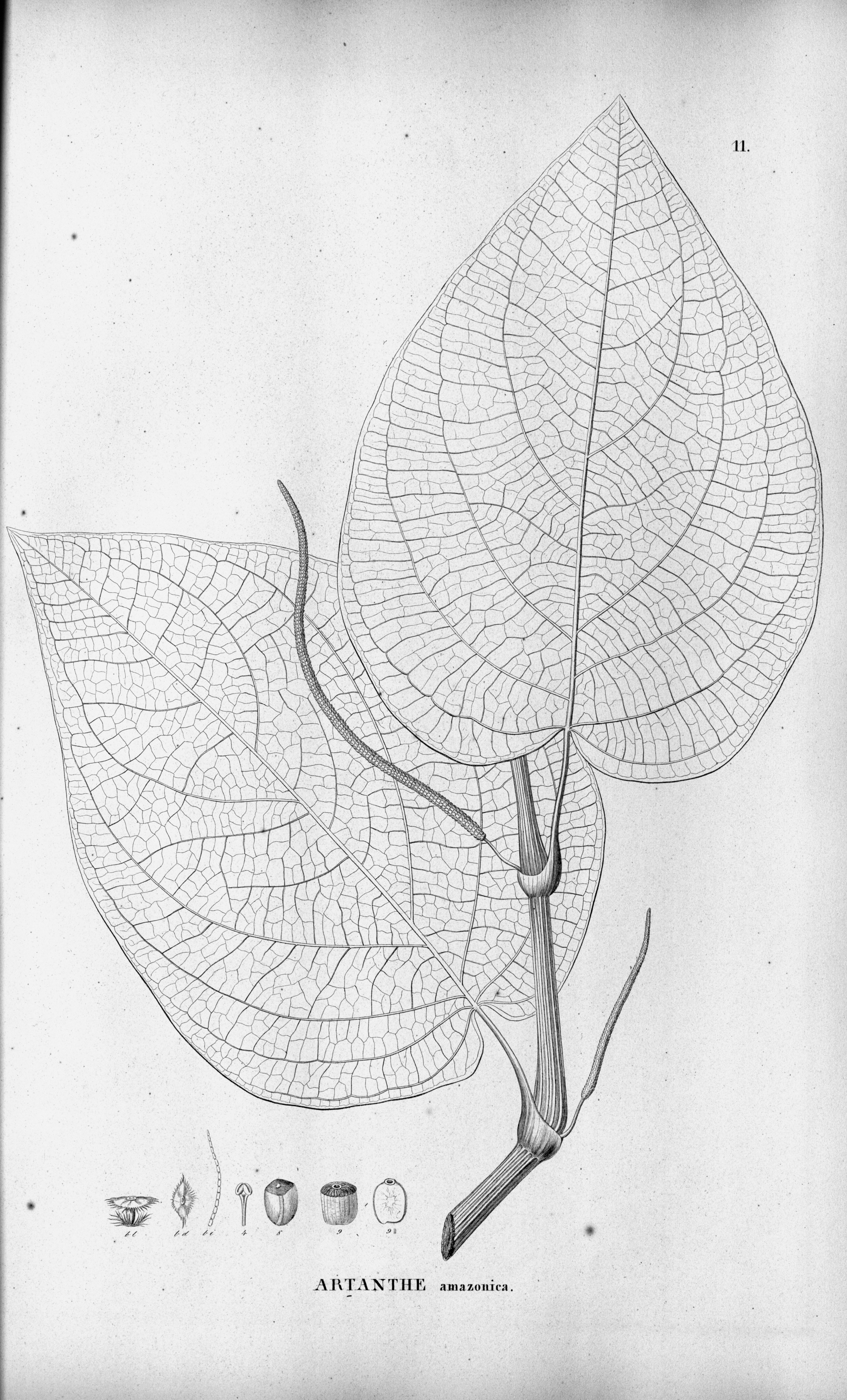 no full size  illustration available (3a)