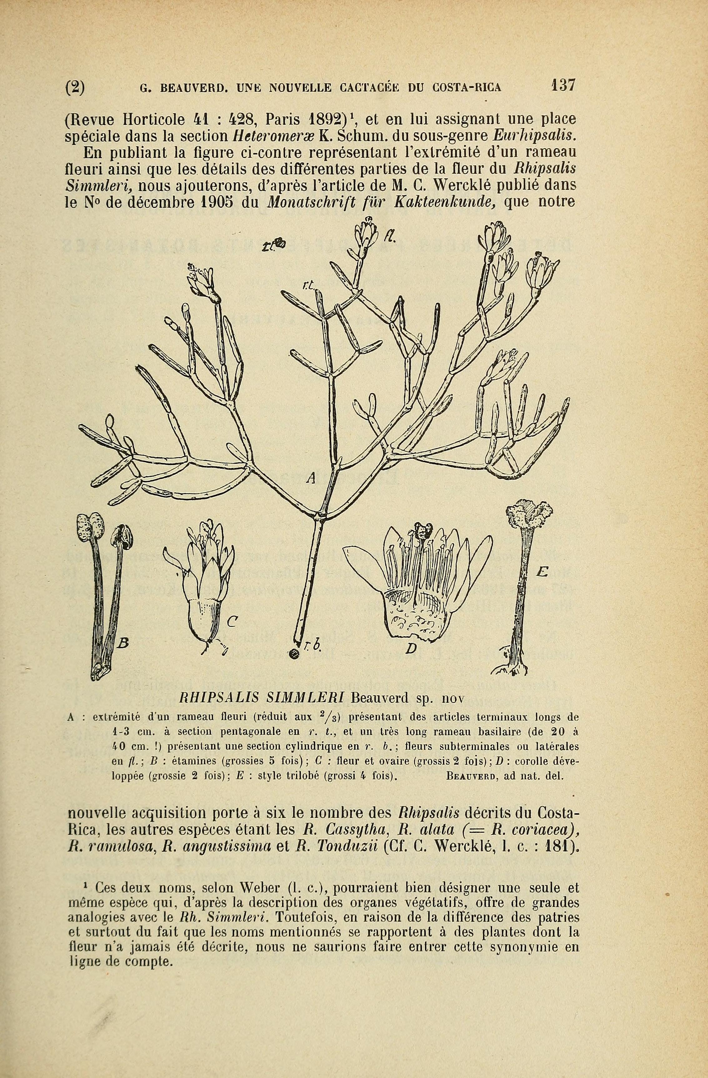 no full size  illustration available (3a)