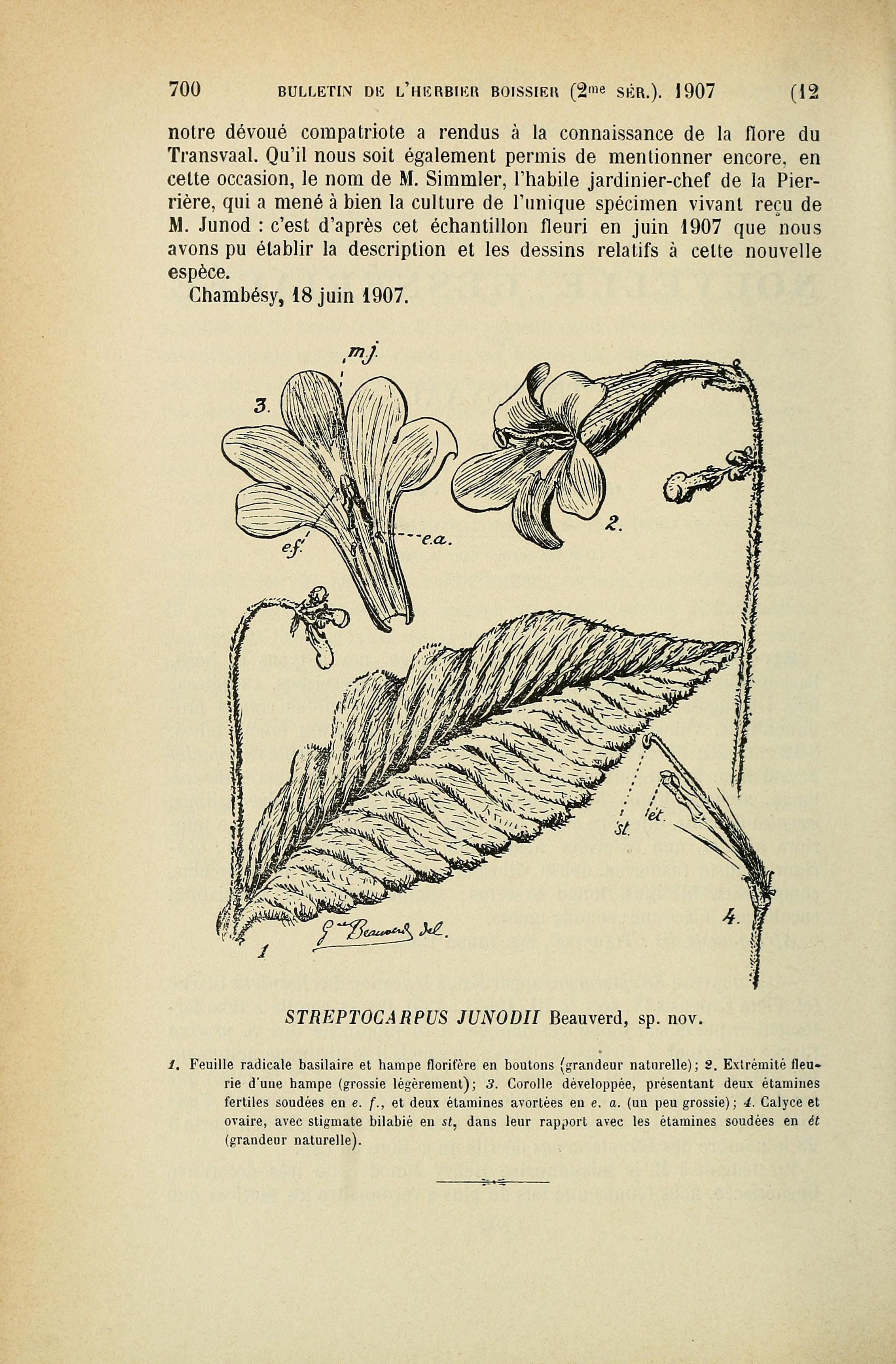 no full size  illustration available (3a)