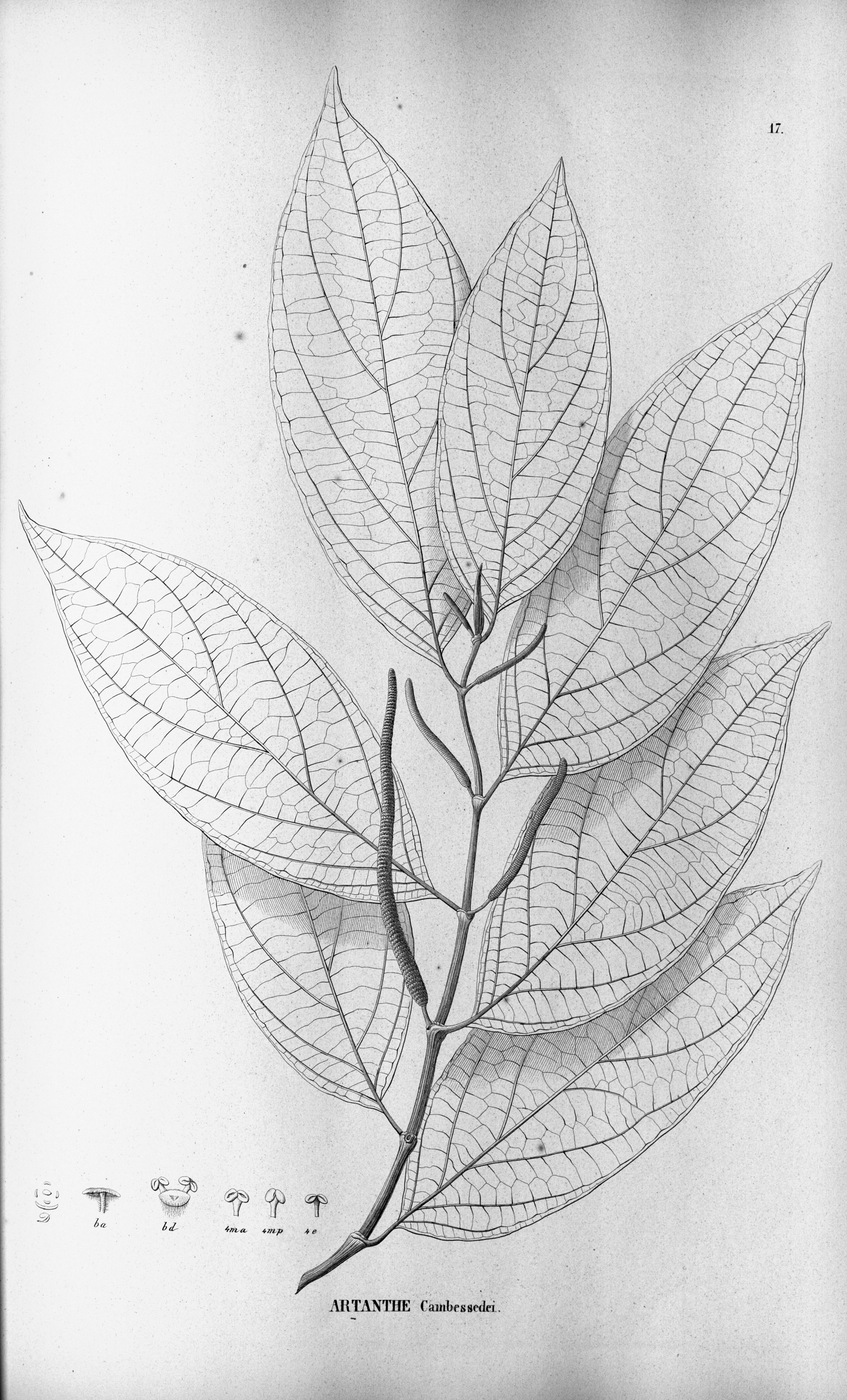 no full size  illustration available (3a)