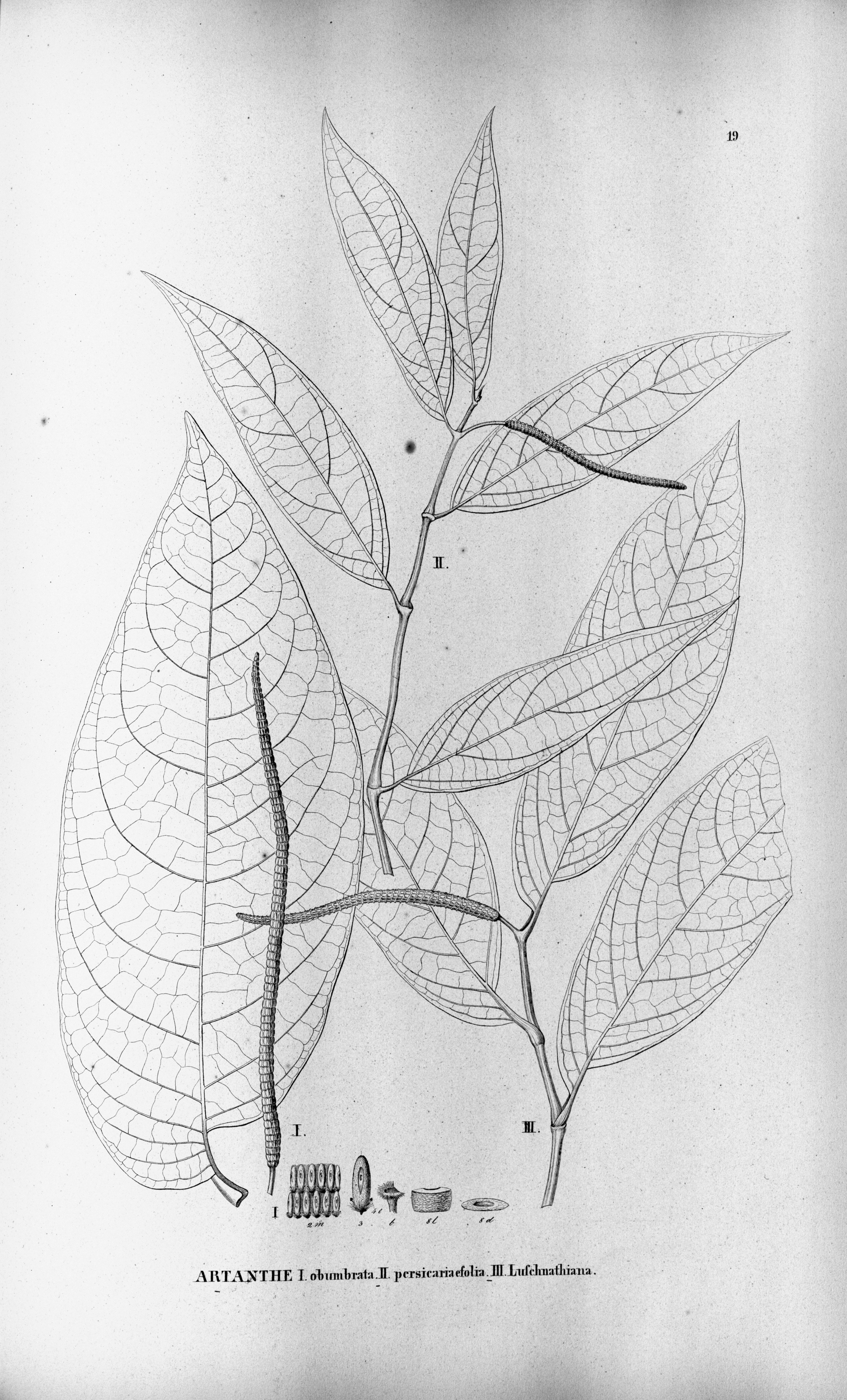 no full size  illustration available (3a)