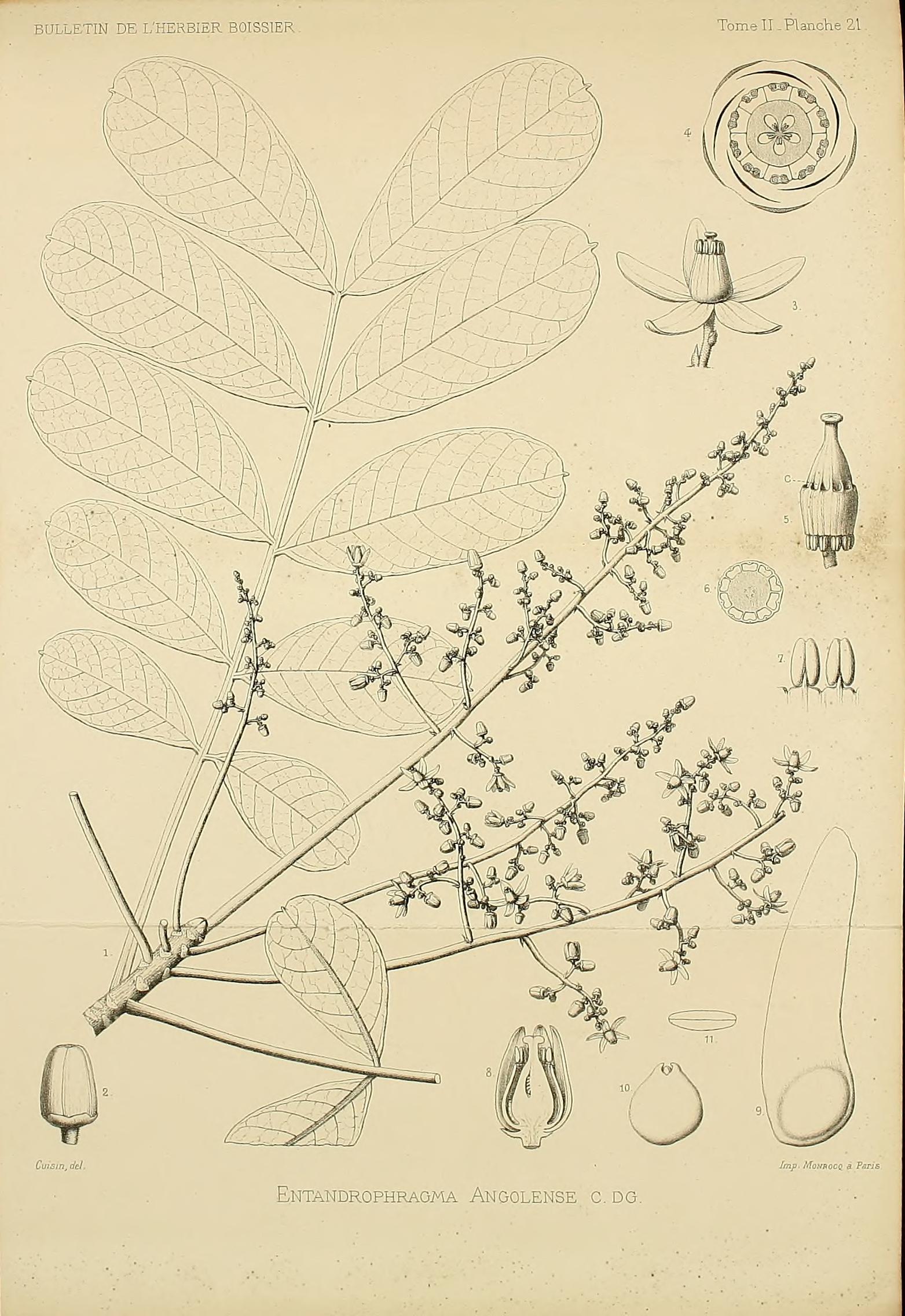 no full size  illustration available (3a)