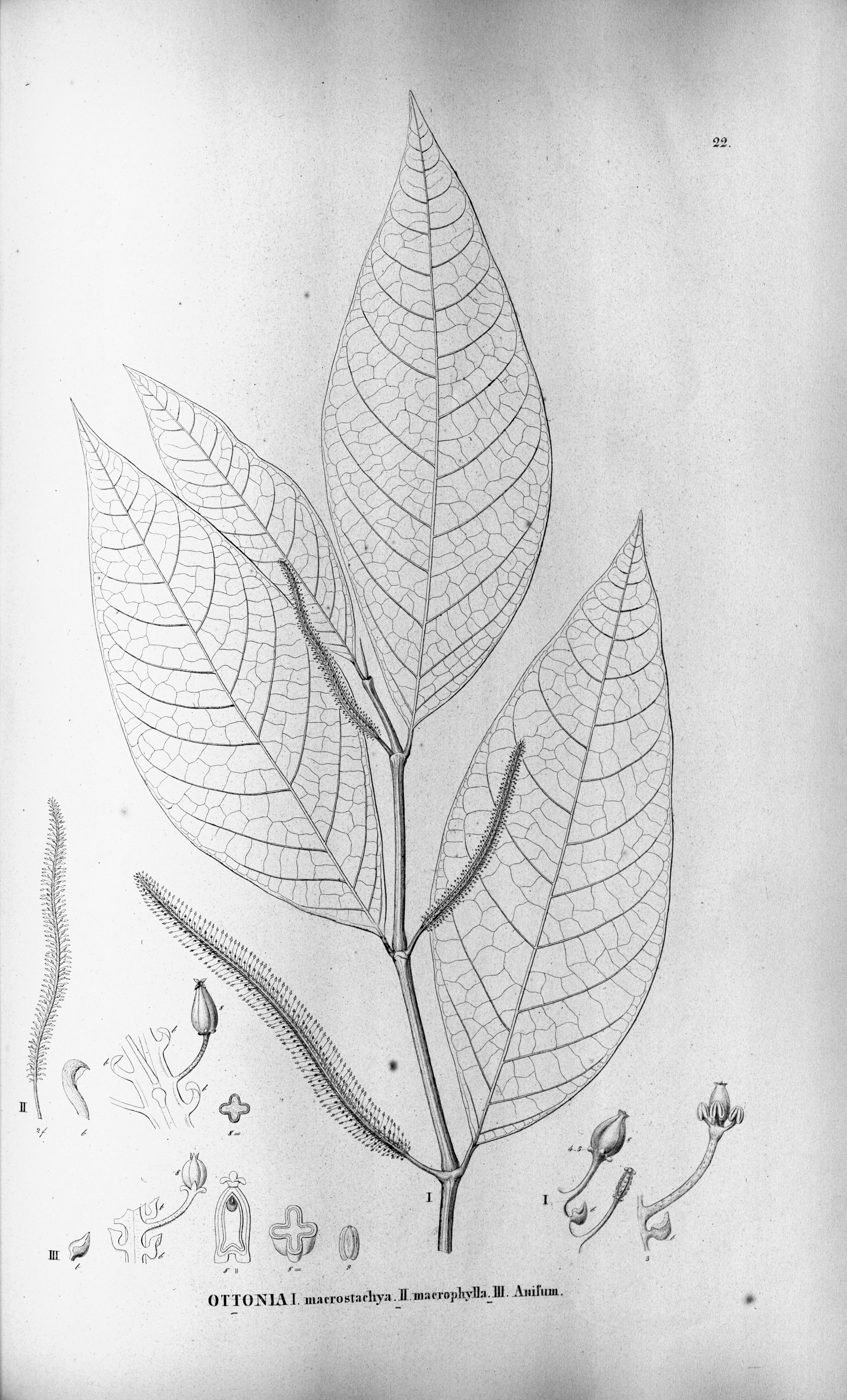 no full size  illustration available (3a)