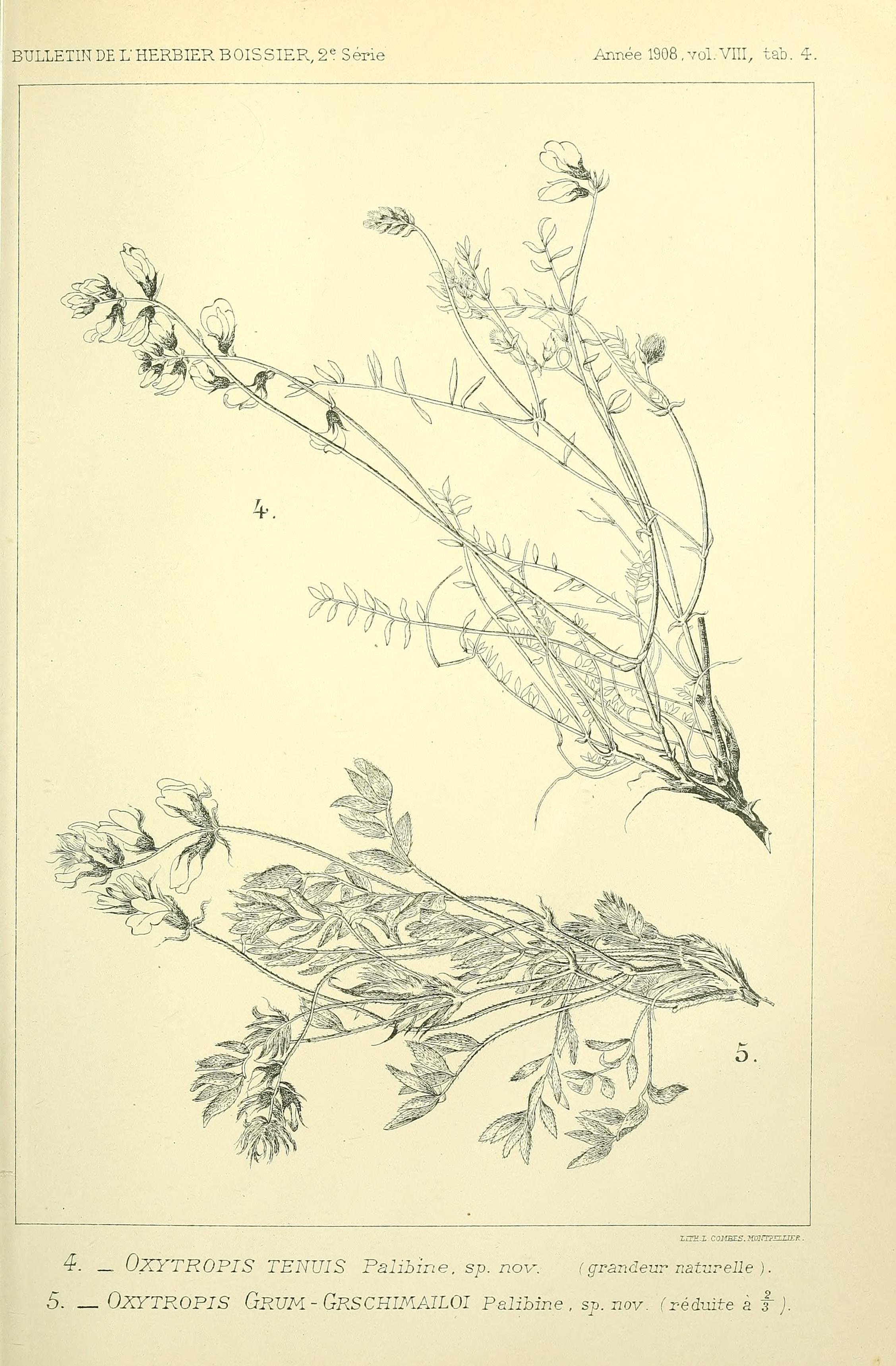 no full size  illustration available (3a)