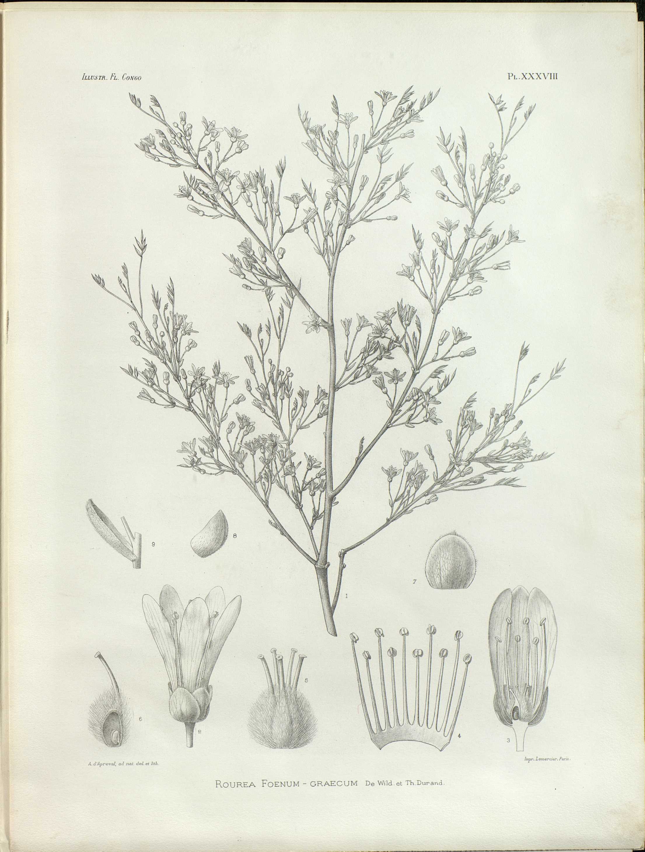 no full size  illustration available (3a)