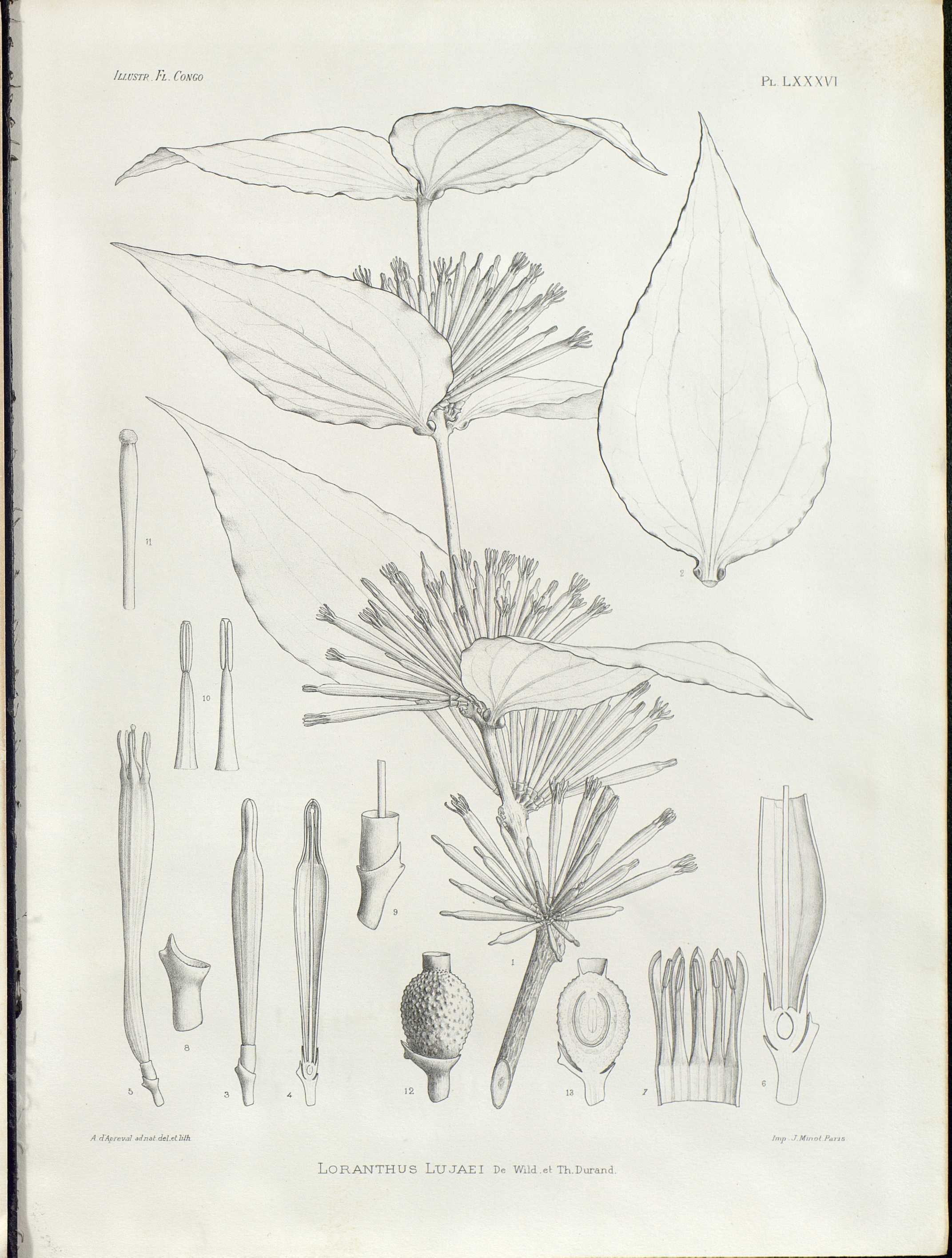 no full size  illustration available (3a)