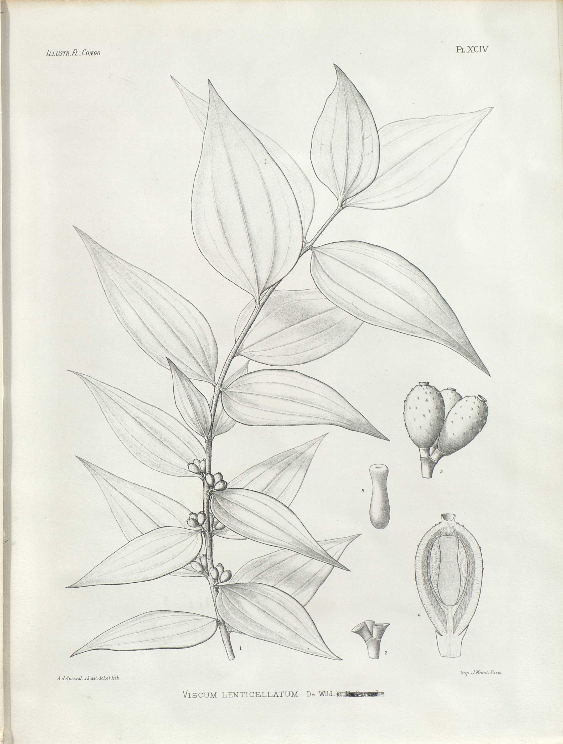 no full size  illustration available (3a)