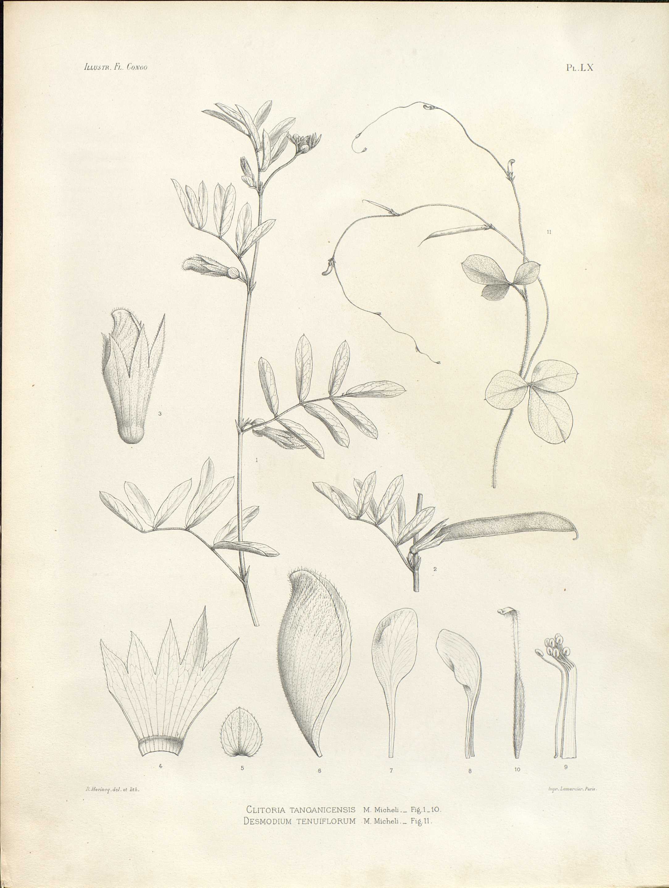 no full size  illustration available (3a)