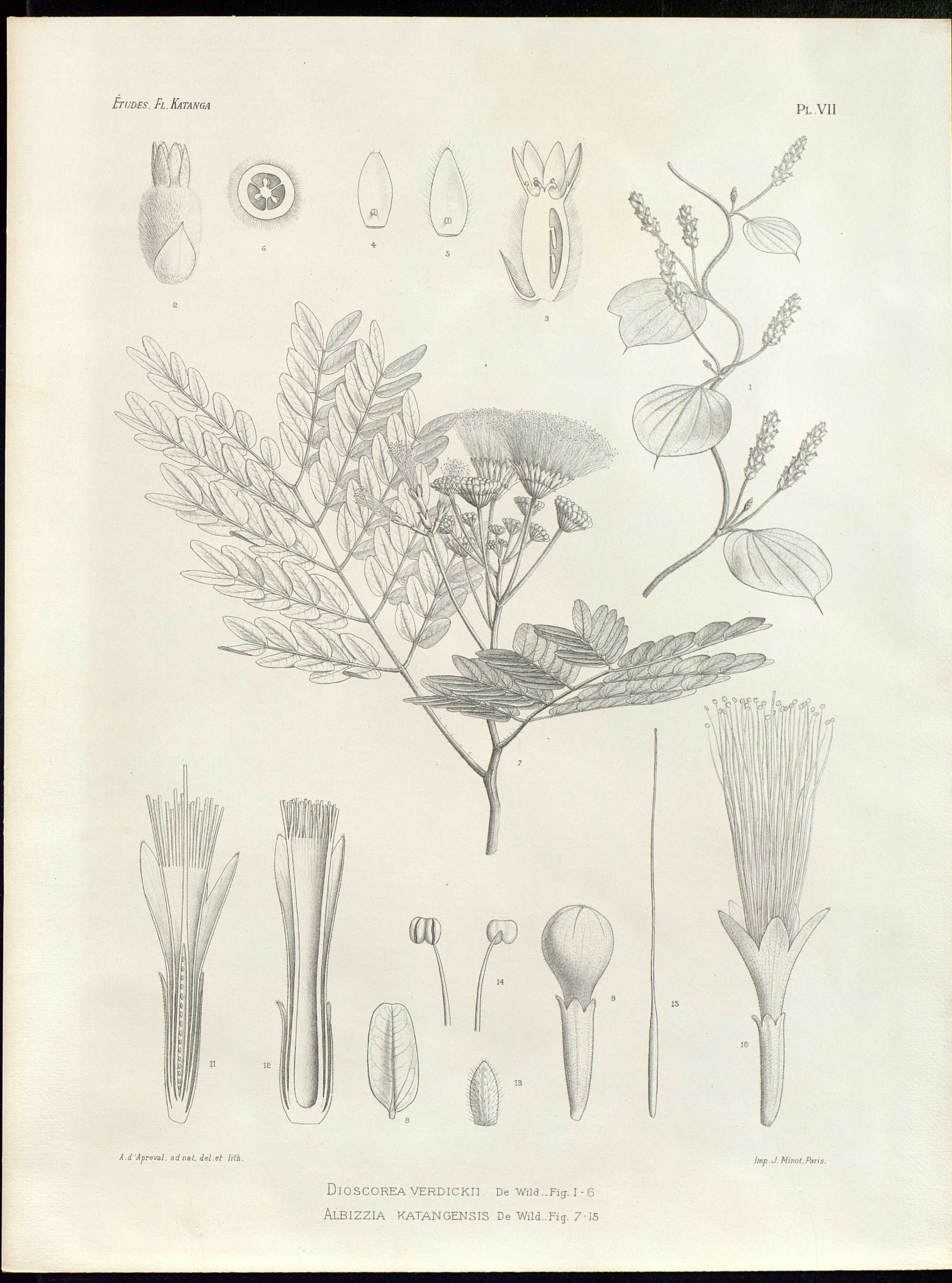 no full size  illustration available (3a)