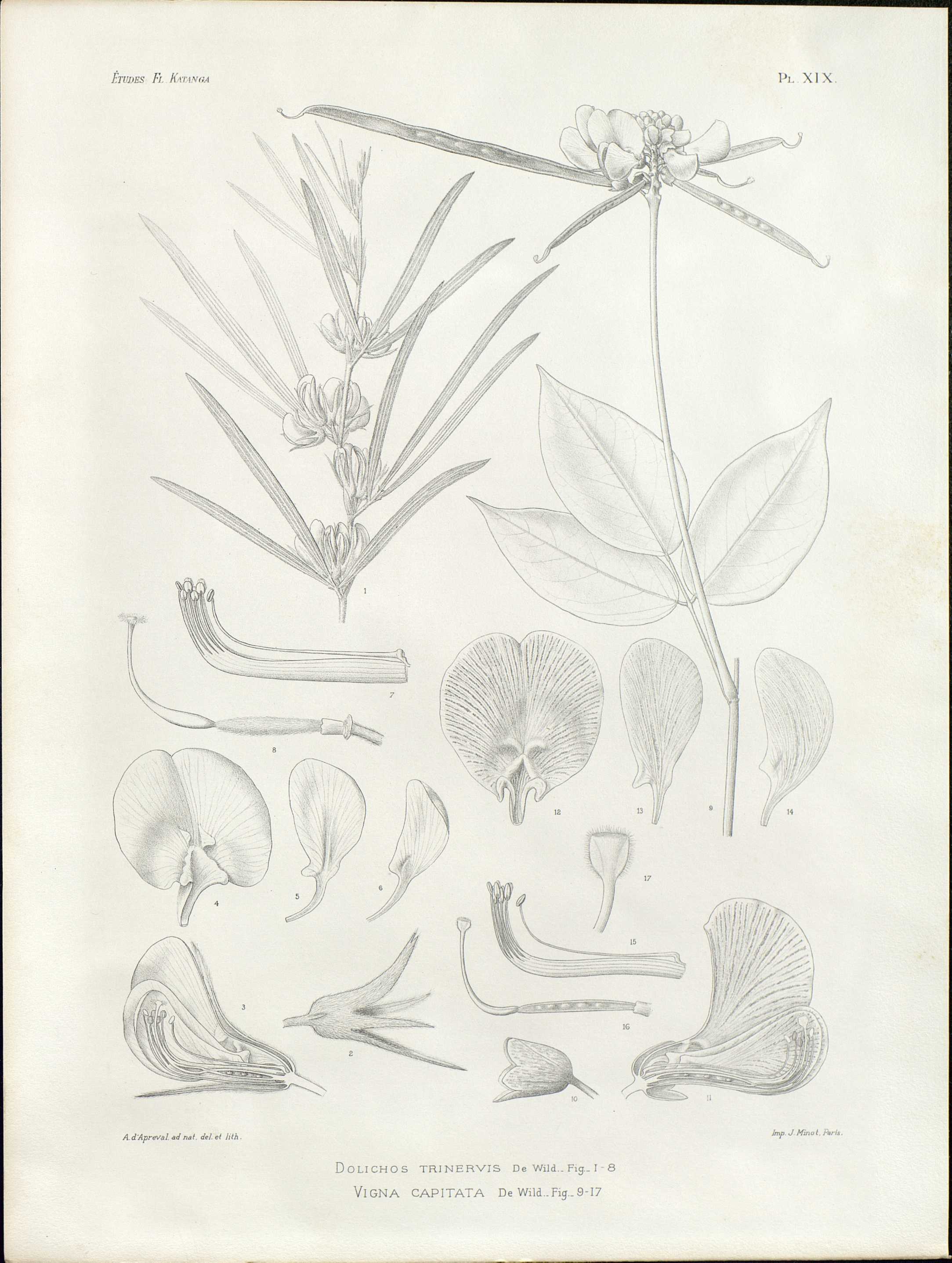 no full size  illustration available (3a)