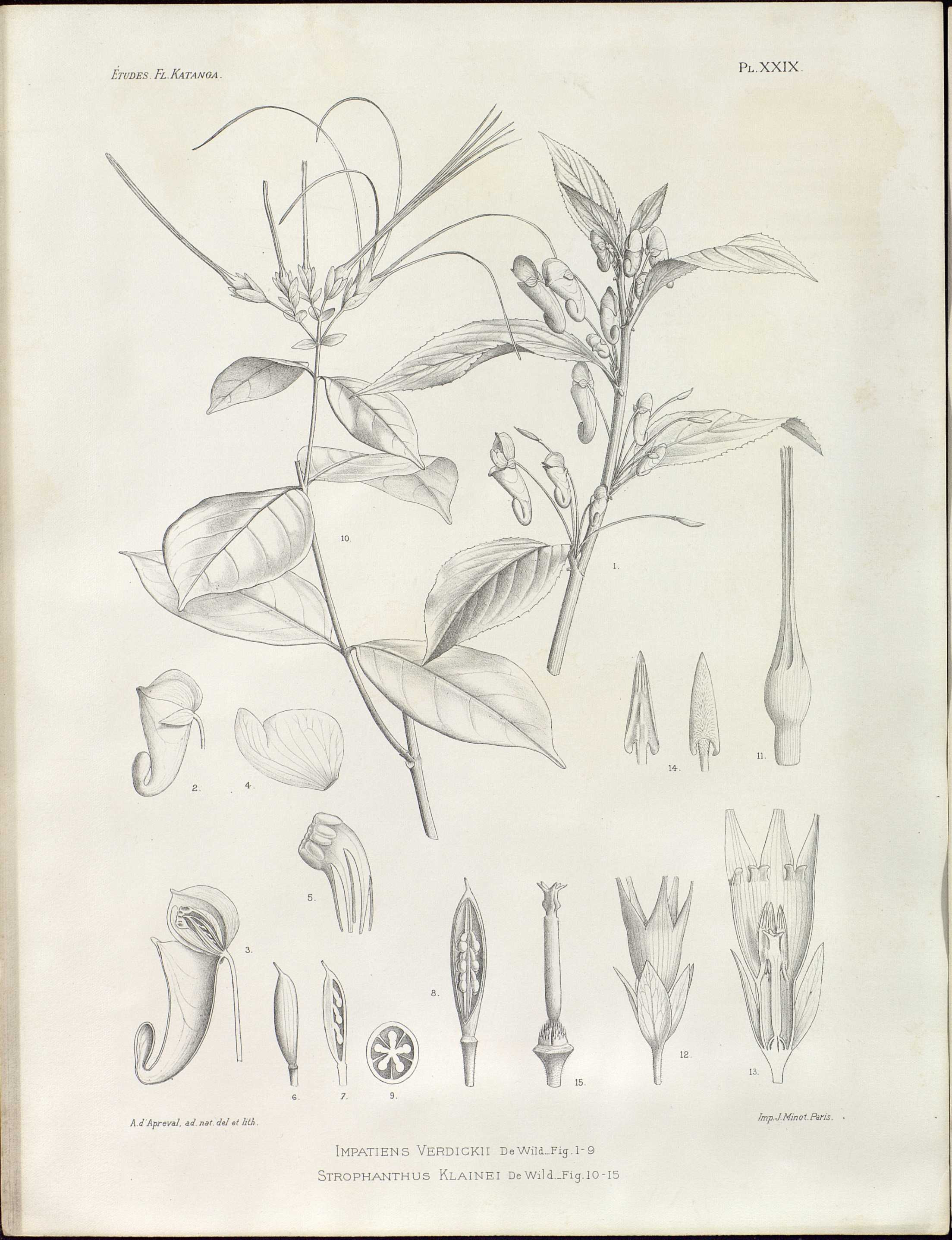 no full size  illustration available (3a)