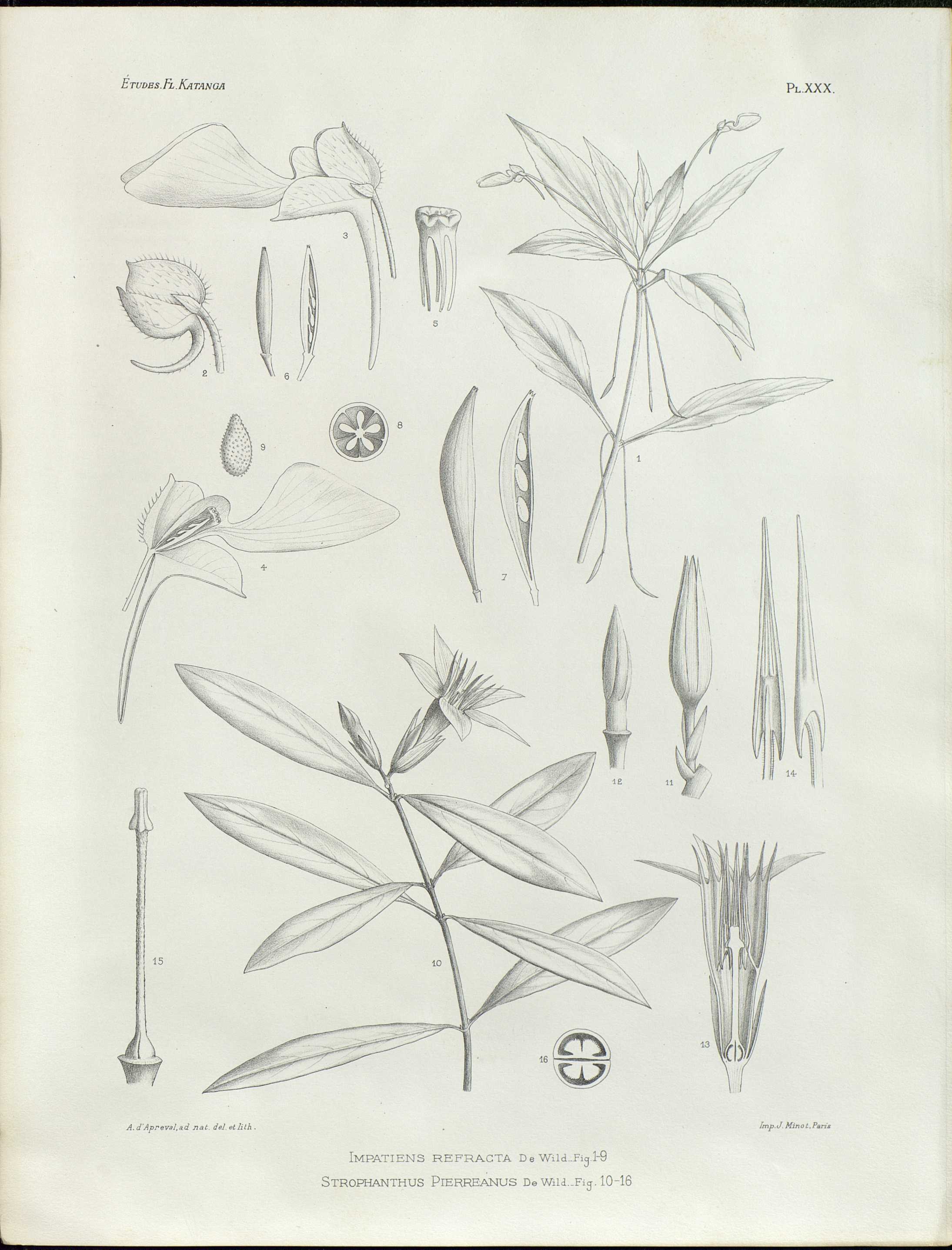 no full size  illustration available (3a)