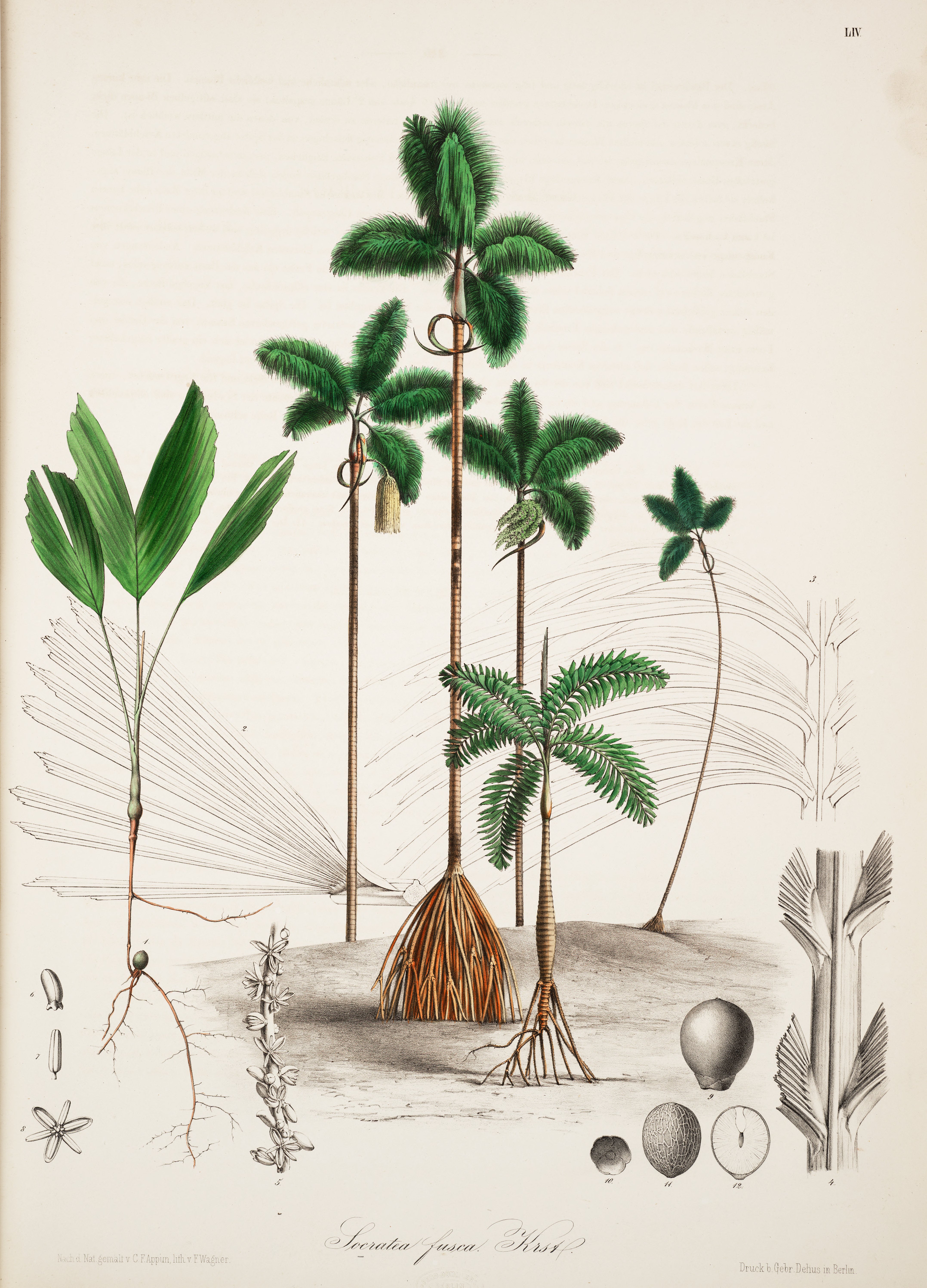 no full size  illustration available (3a)