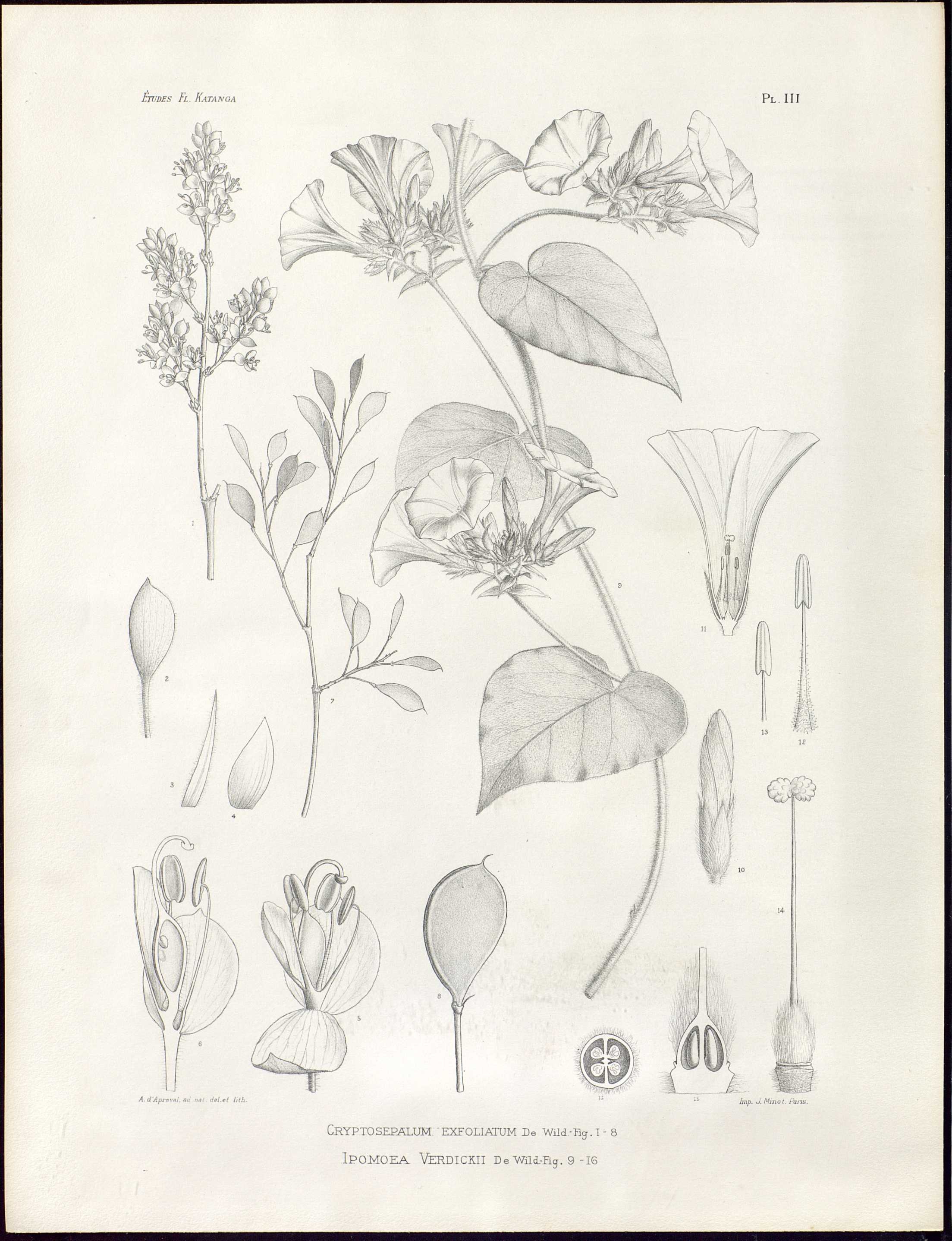 no full size  illustration available (3a)