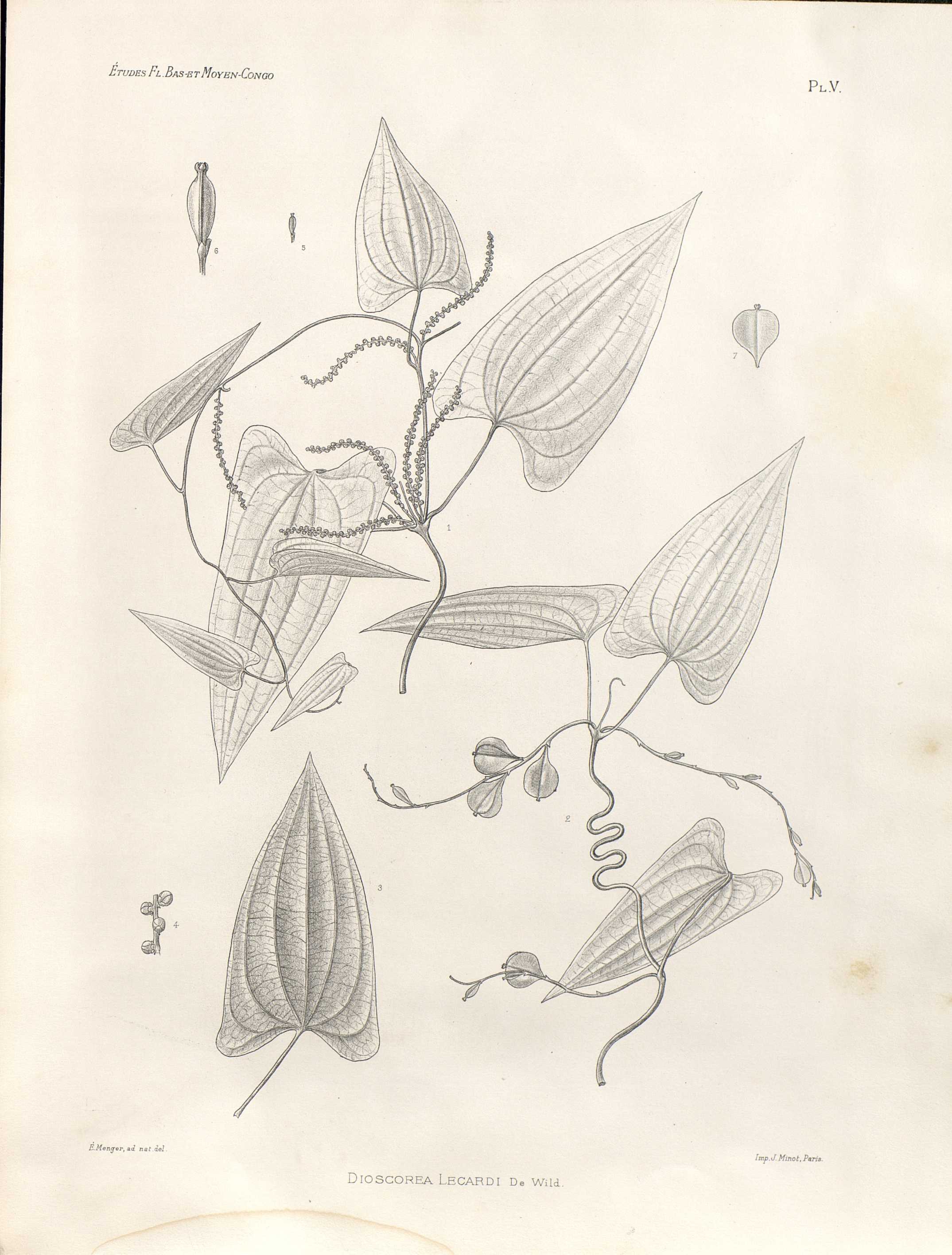 no full size  illustration available (3a)