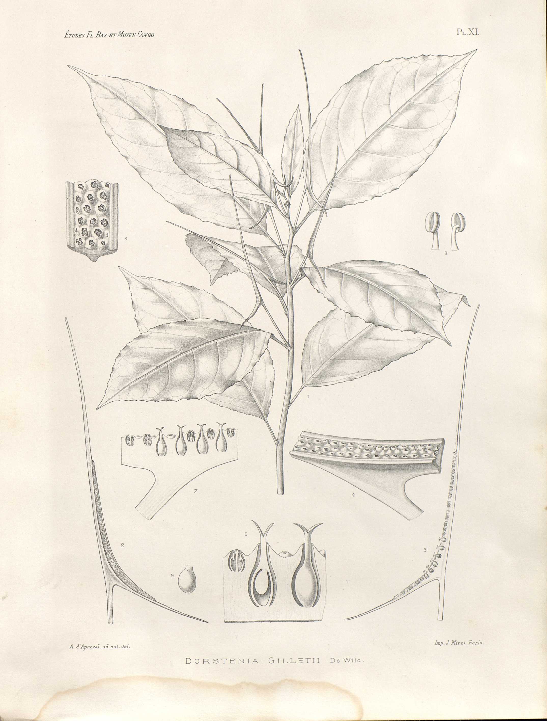 no full size  illustration available (3a)