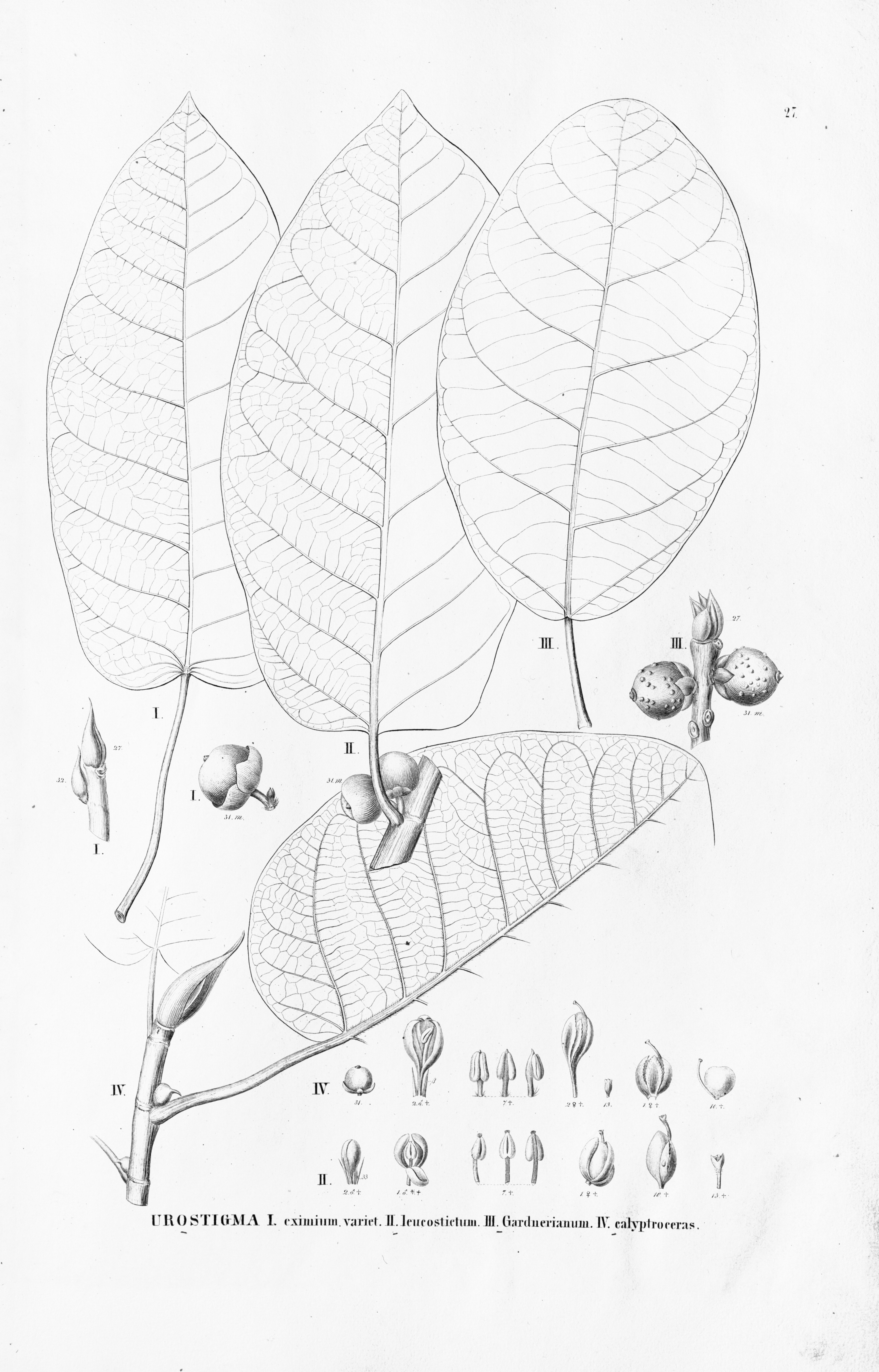 no full size  illustration available (3a)