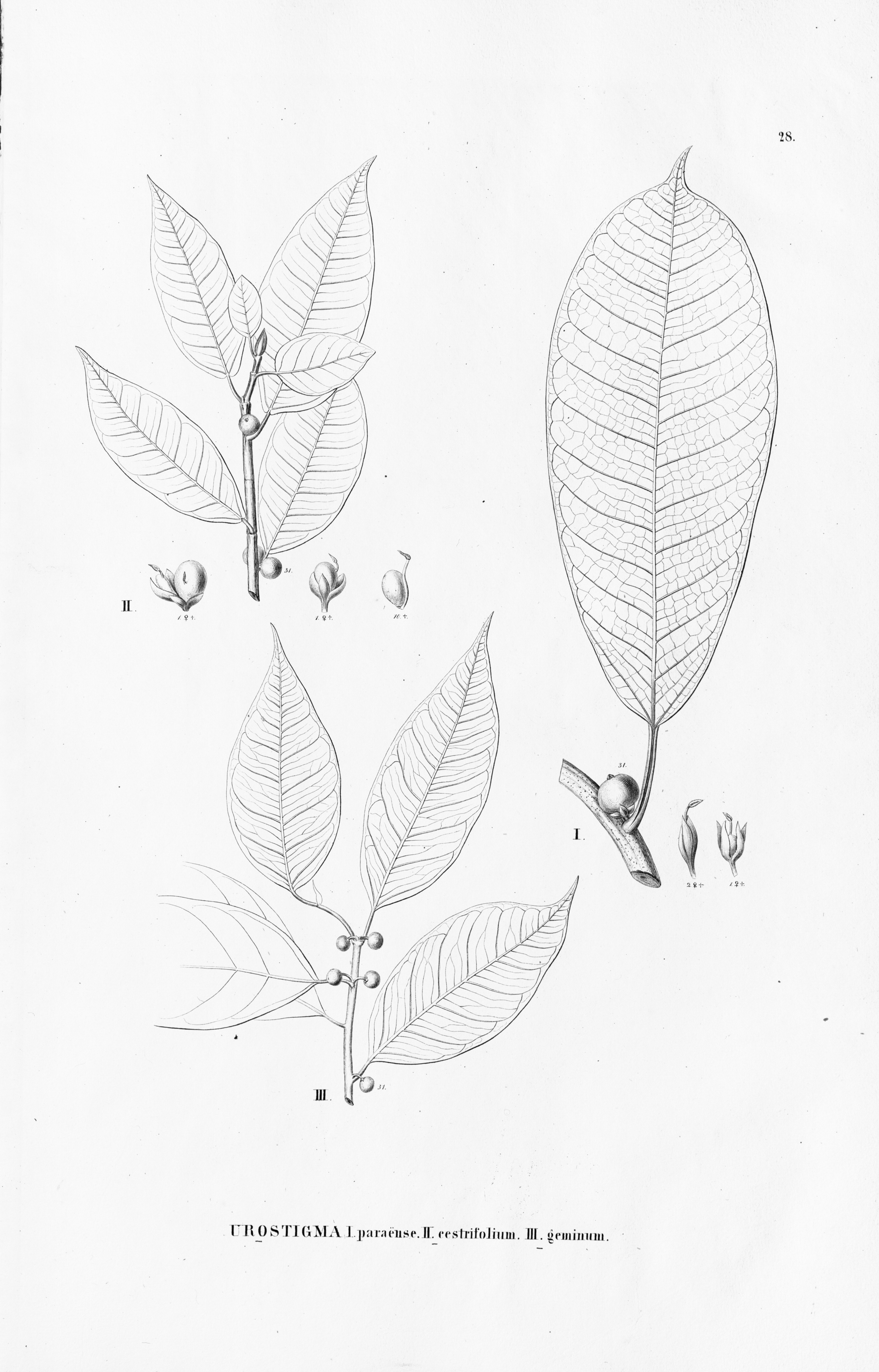 no full size  illustration available (3a)