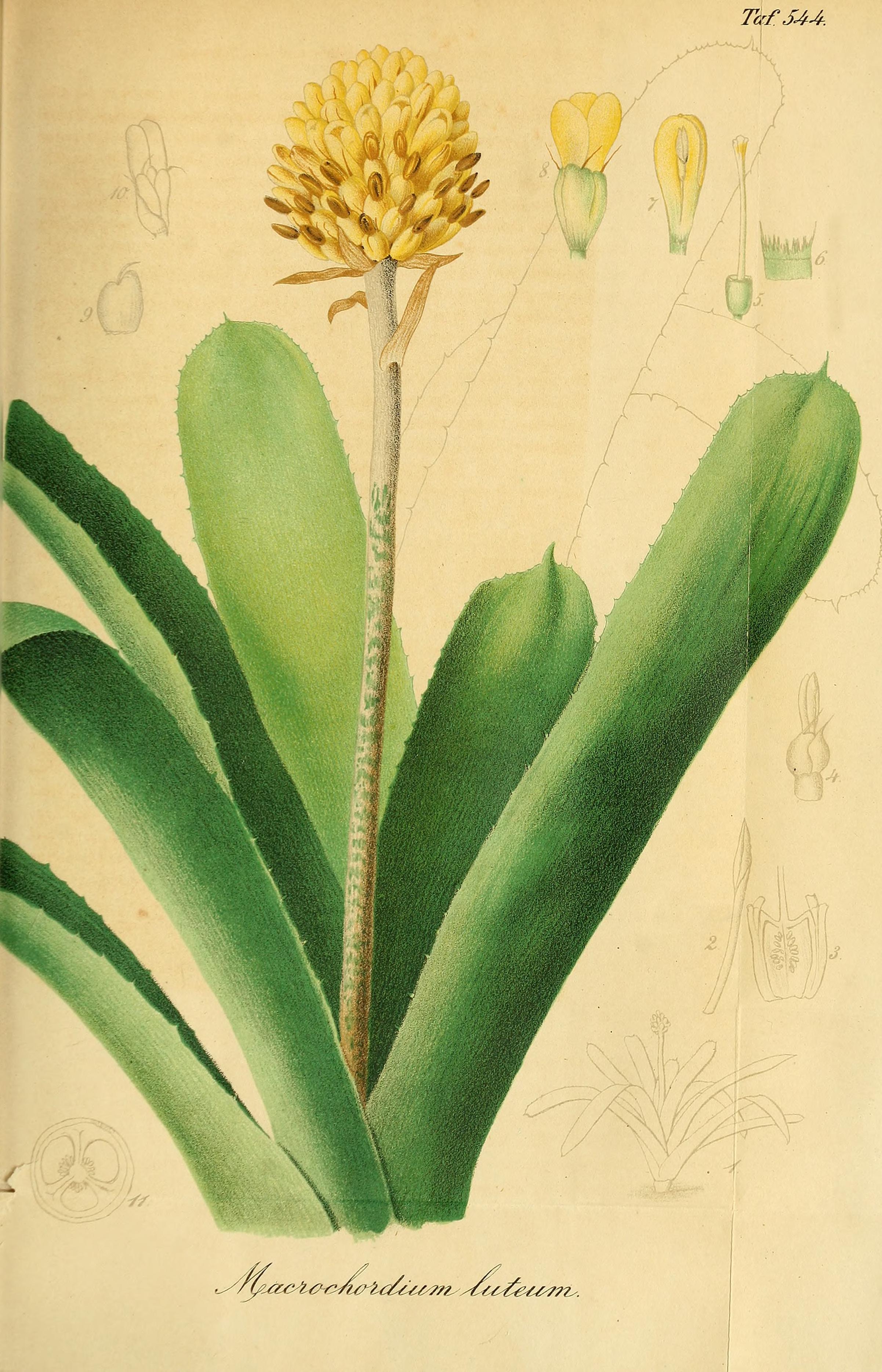 no full size  illustration available (3a)