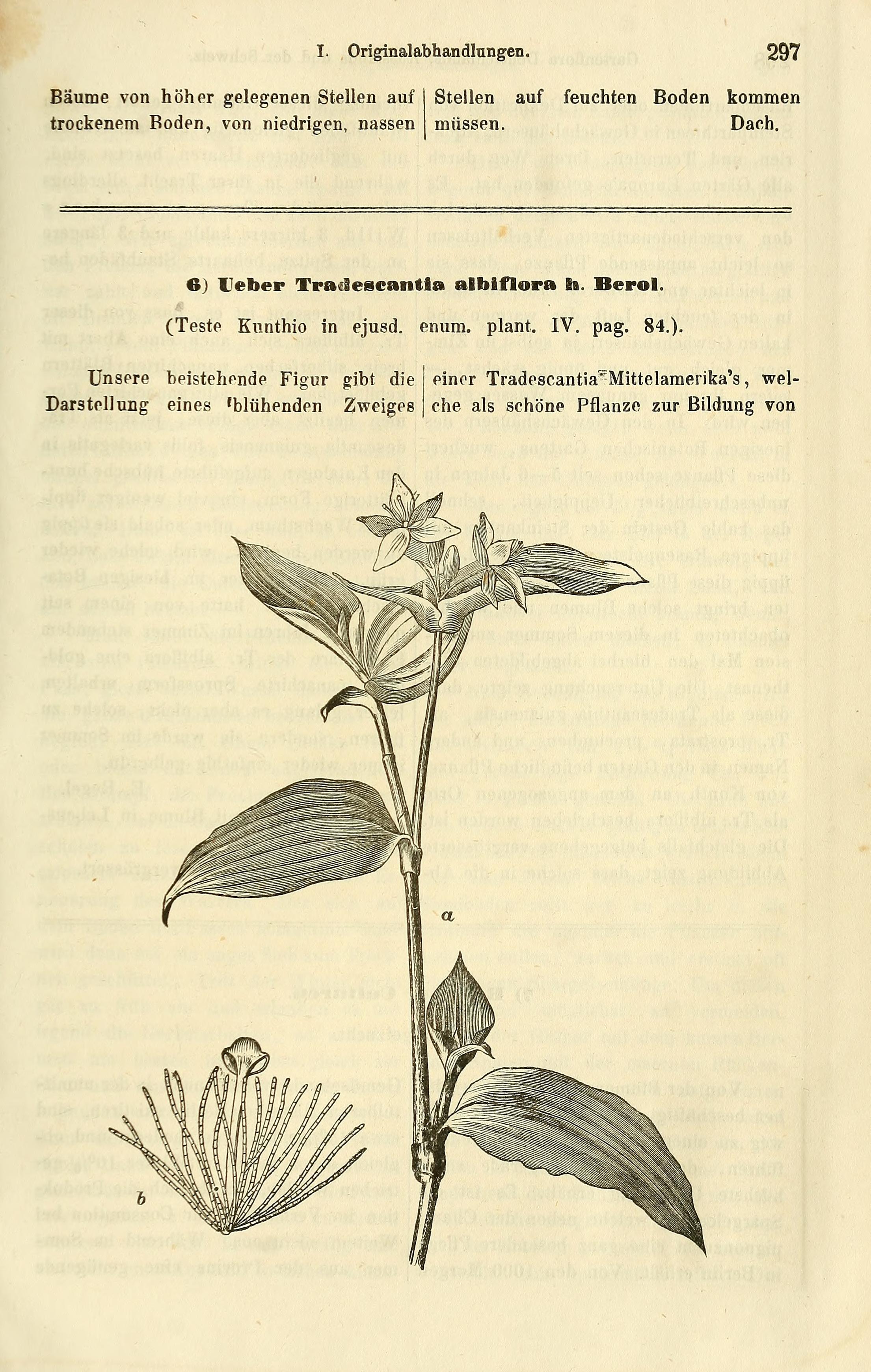 no full size  illustration available (3a)