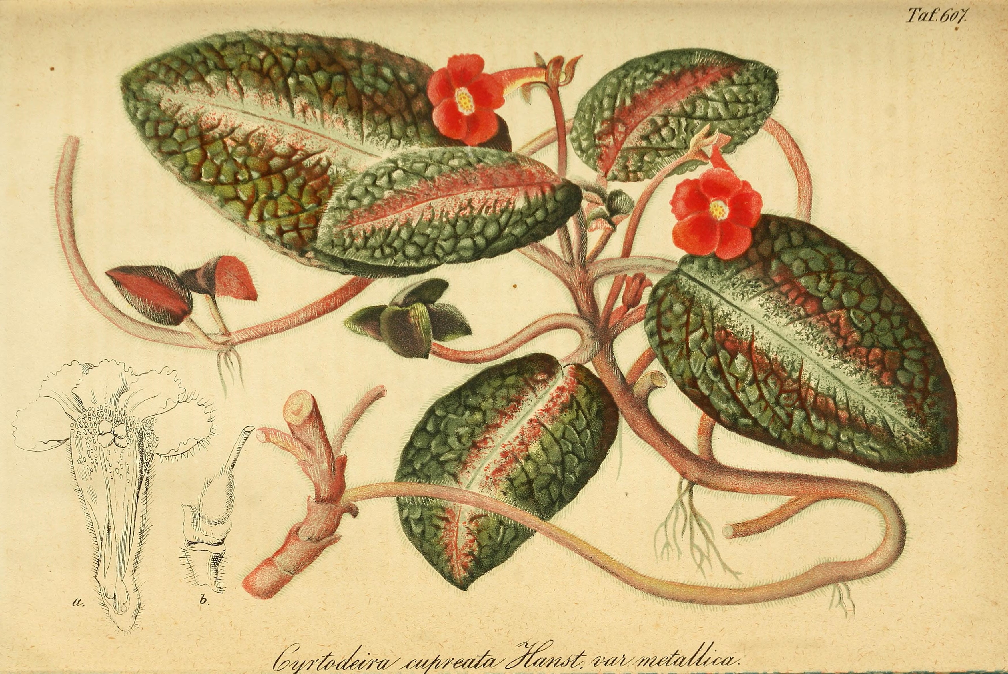 no full size  illustration available (3a)