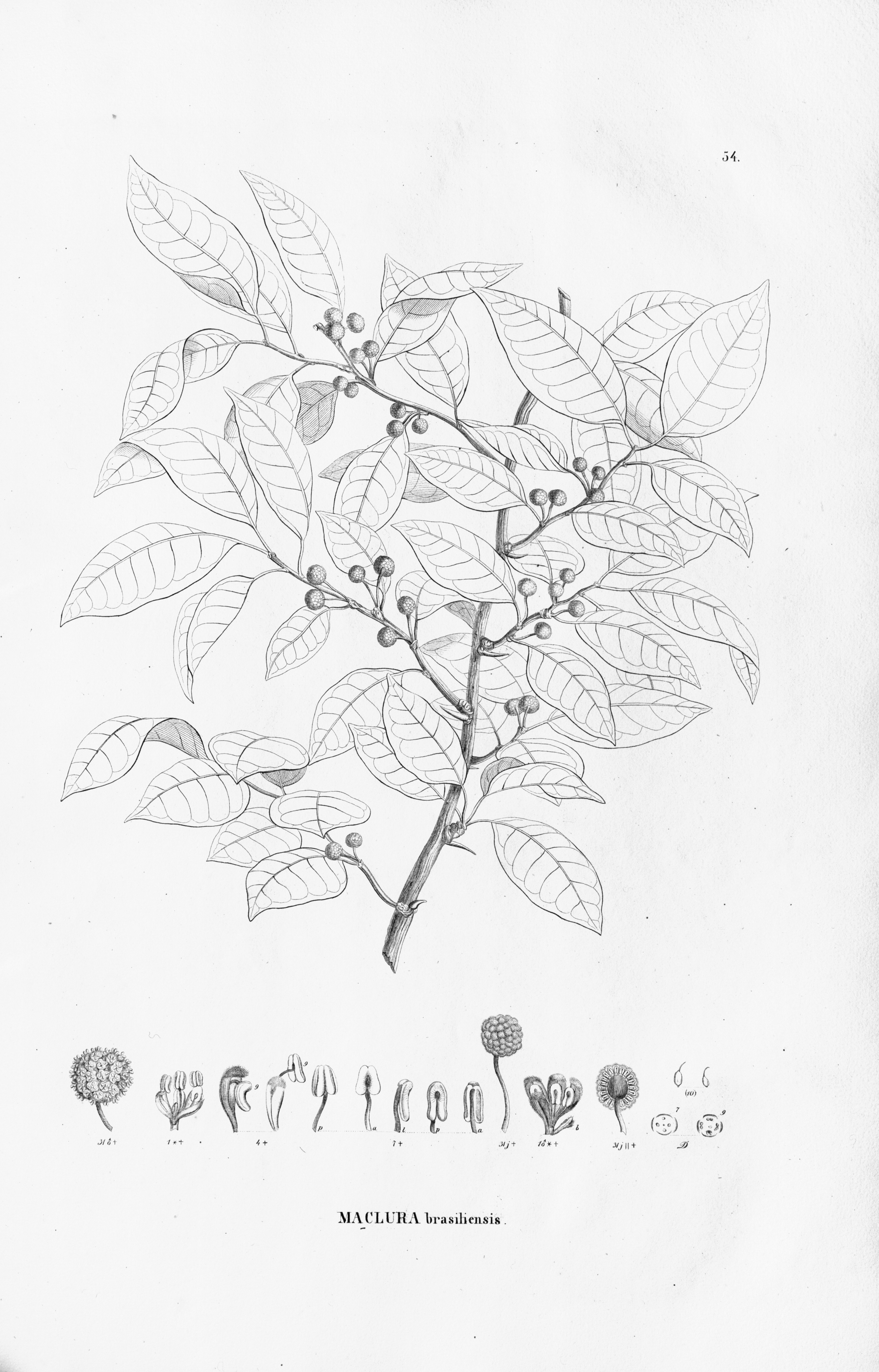 no full size  illustration available (3a)