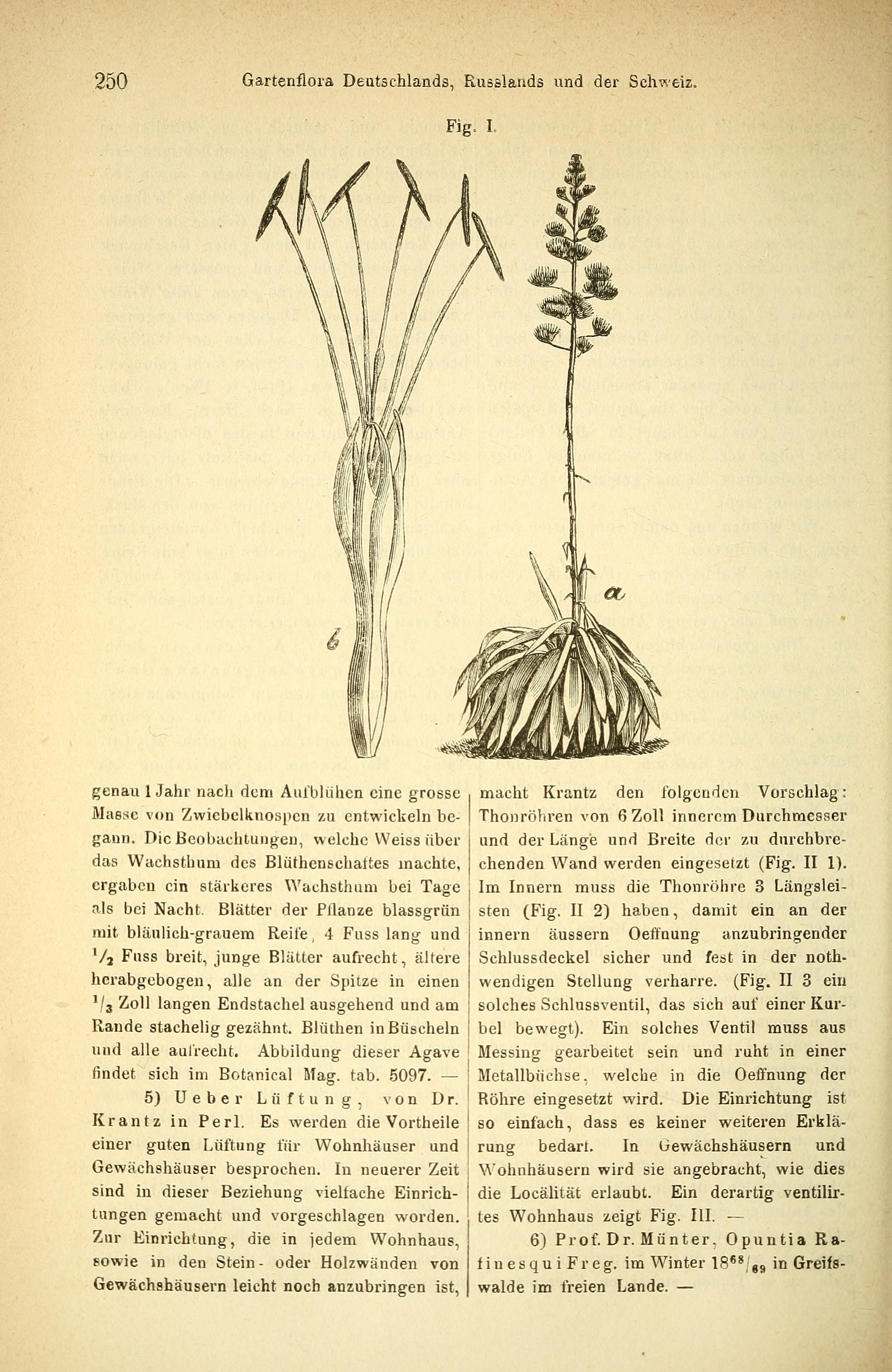 no full size  illustration available (3a)