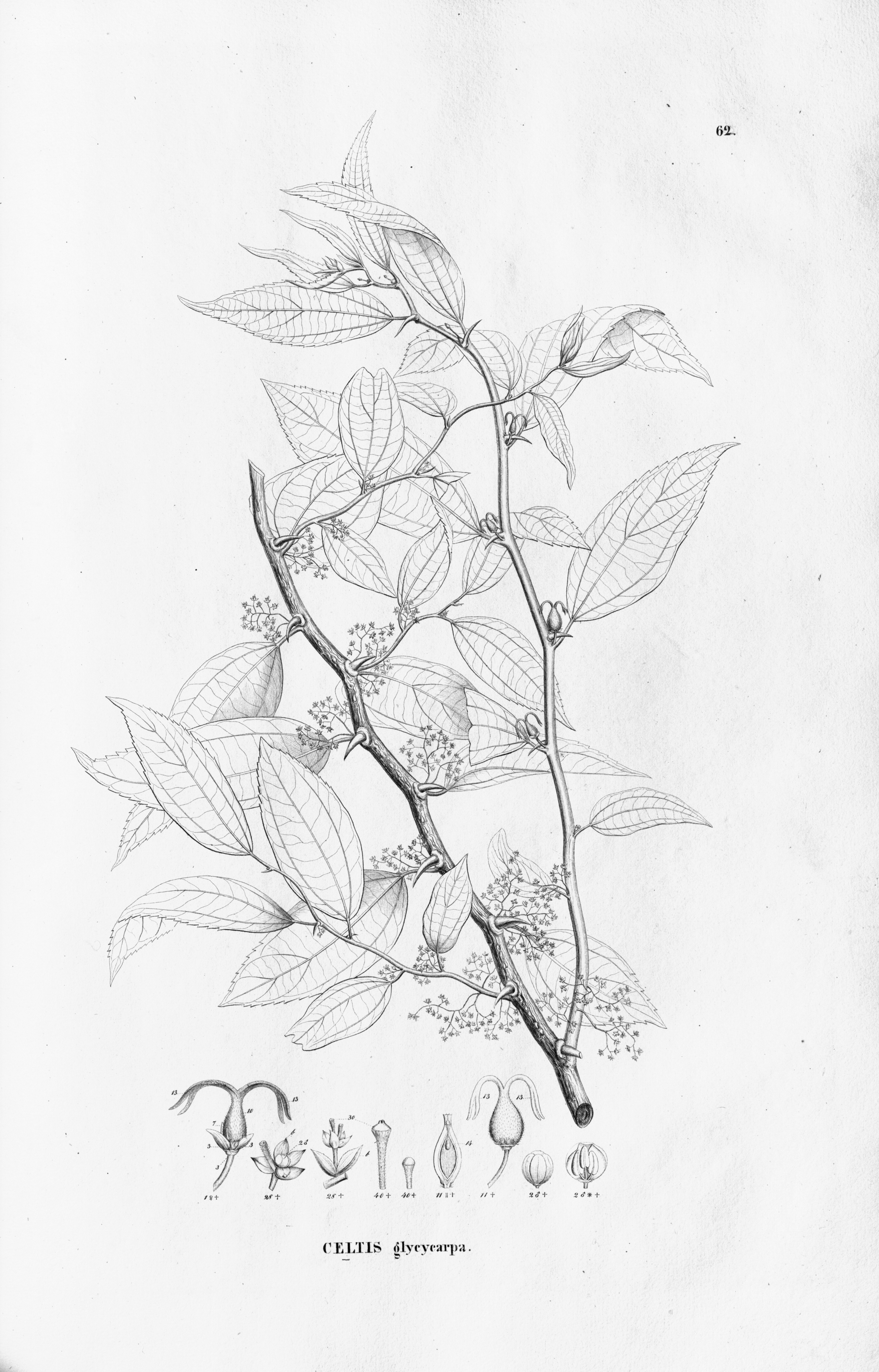 no full size  illustration available (3a)