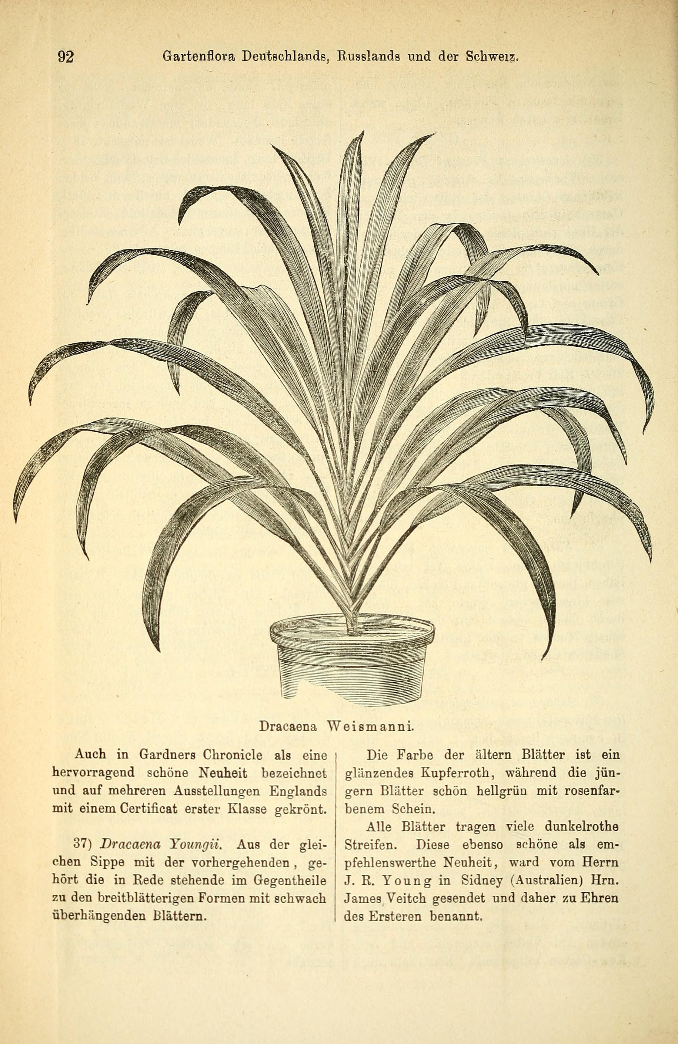 no full size  illustration available (3a)