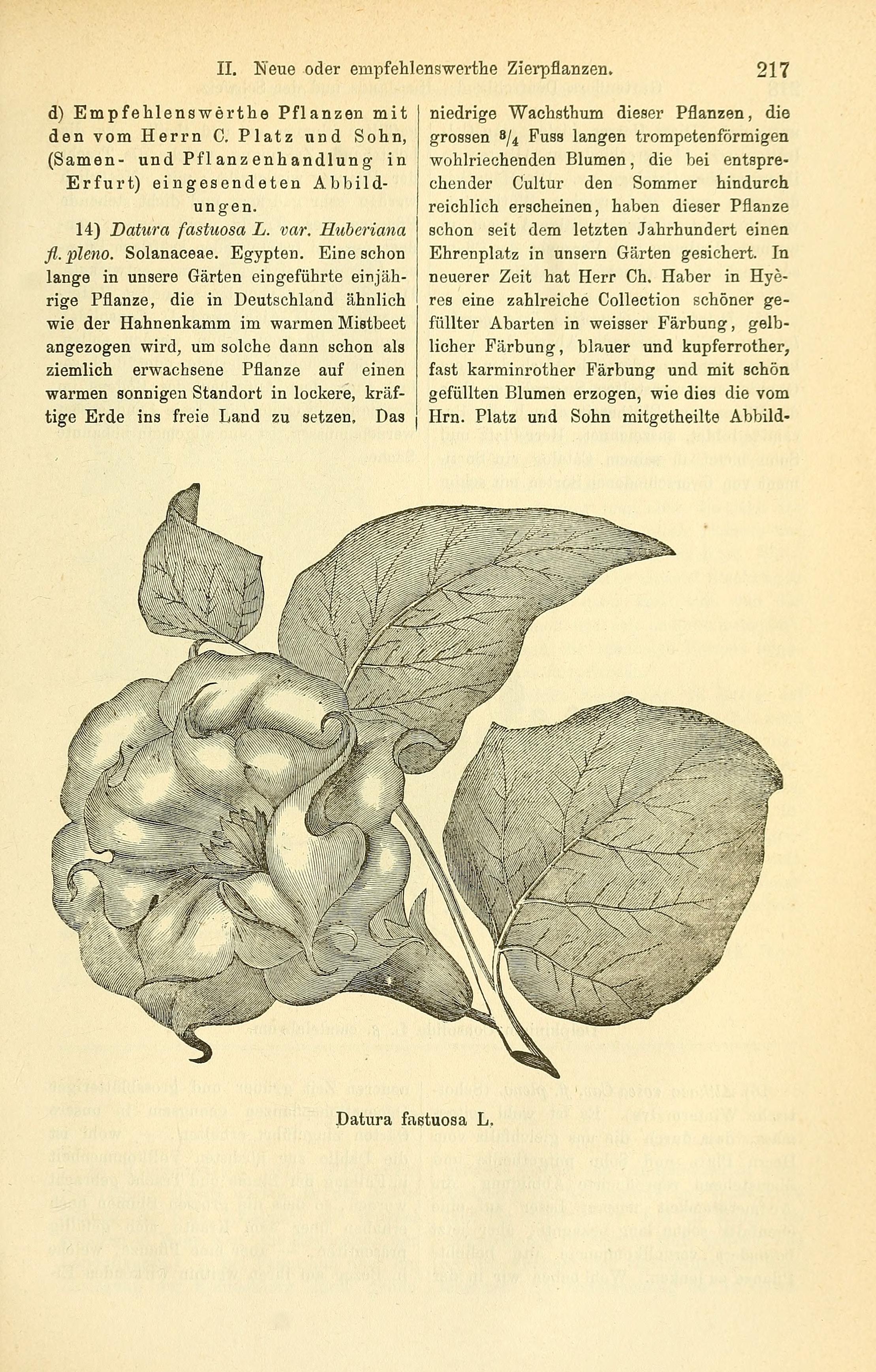 no full size  illustration available (3a)