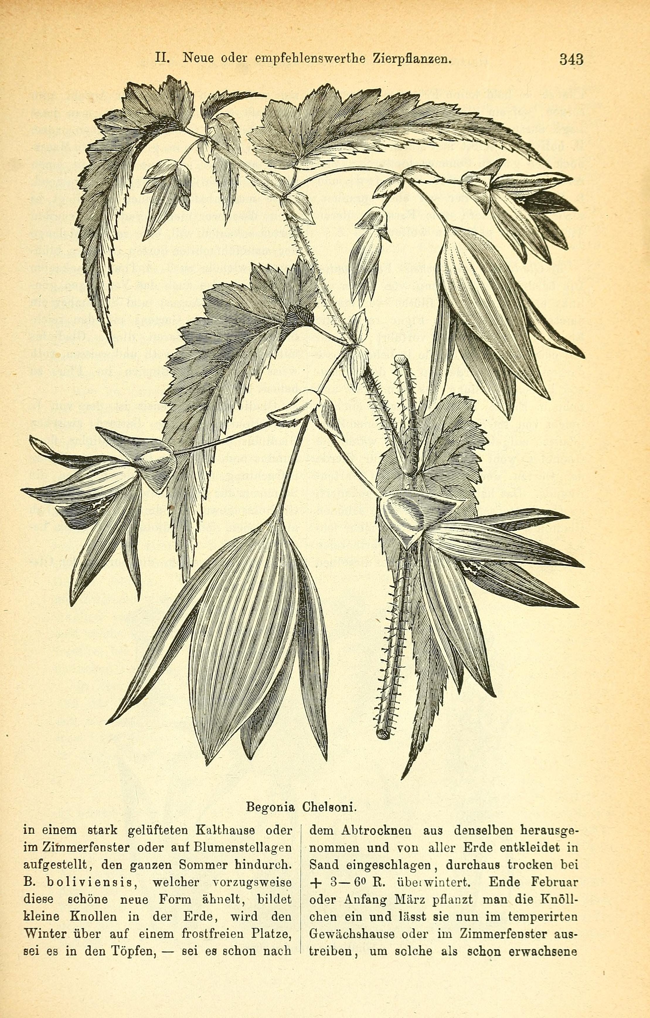 no full size  illustration available (3a)